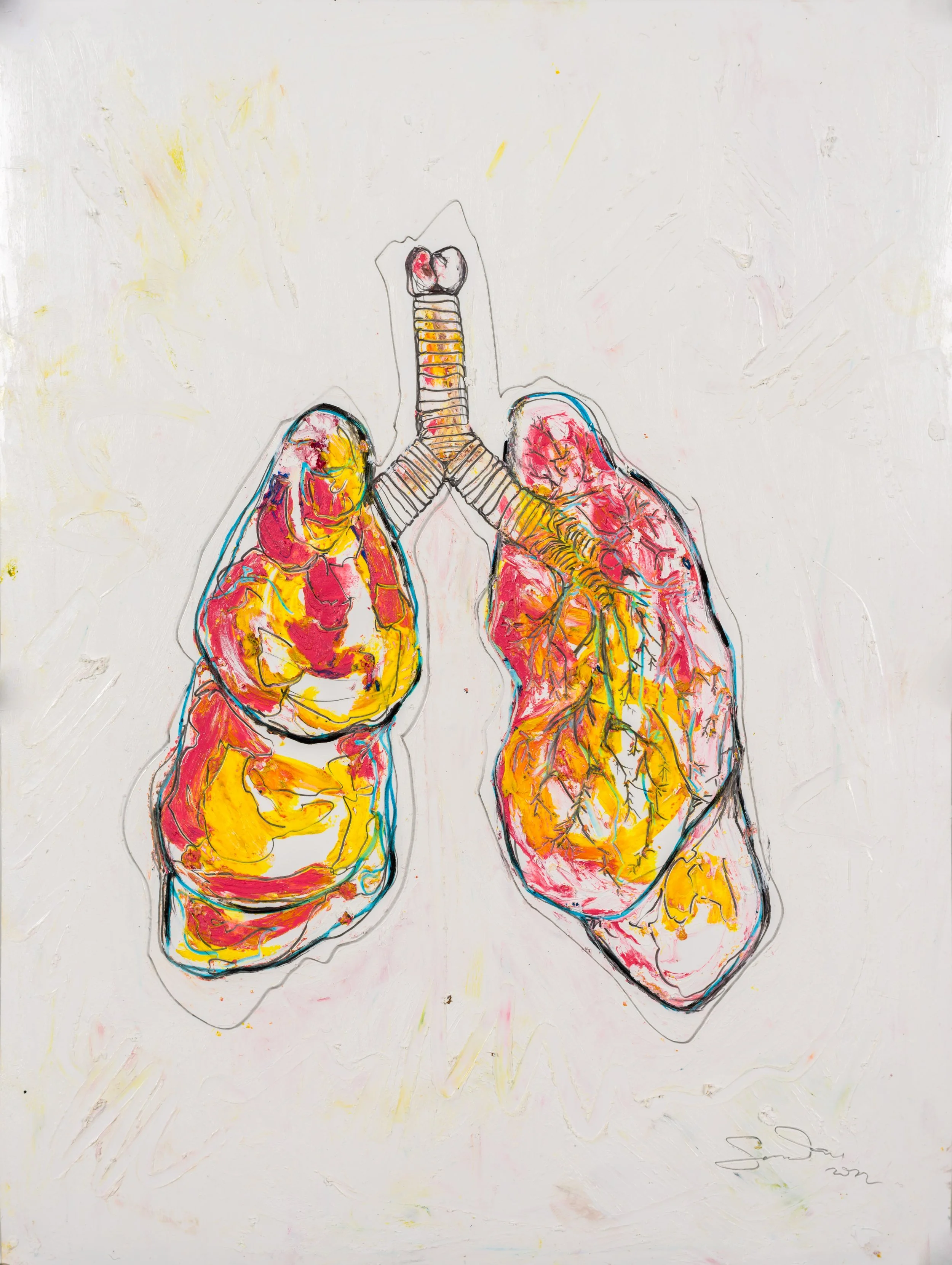 PinkYellowLungs.jpg
