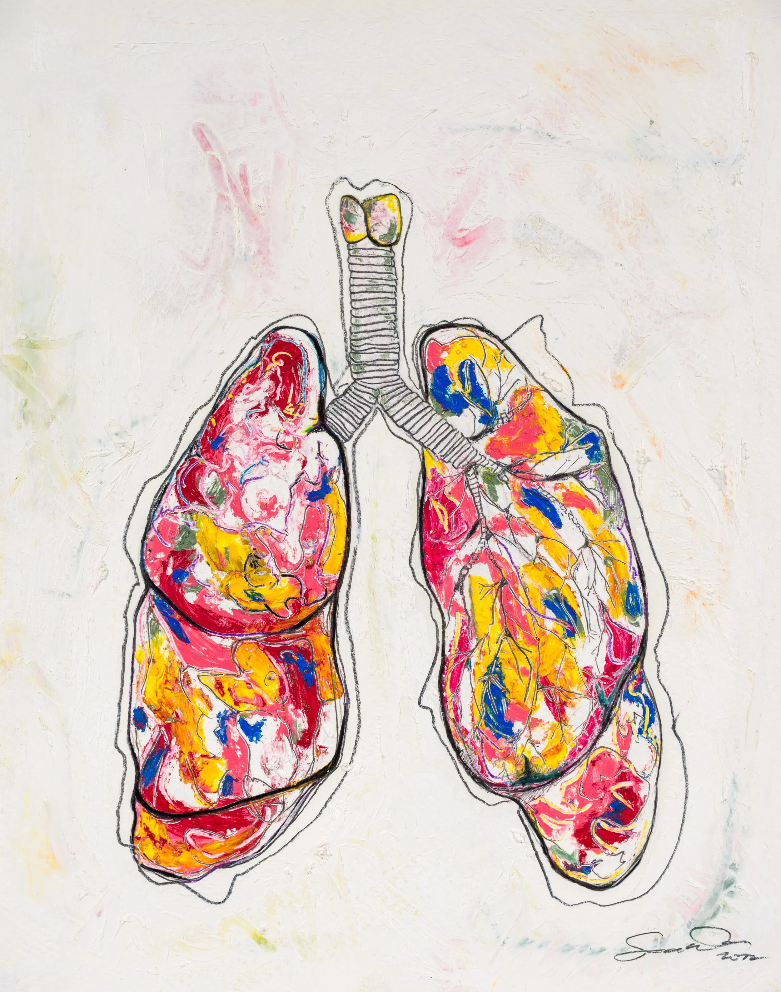 PinkBlueYellowLungs.jpg