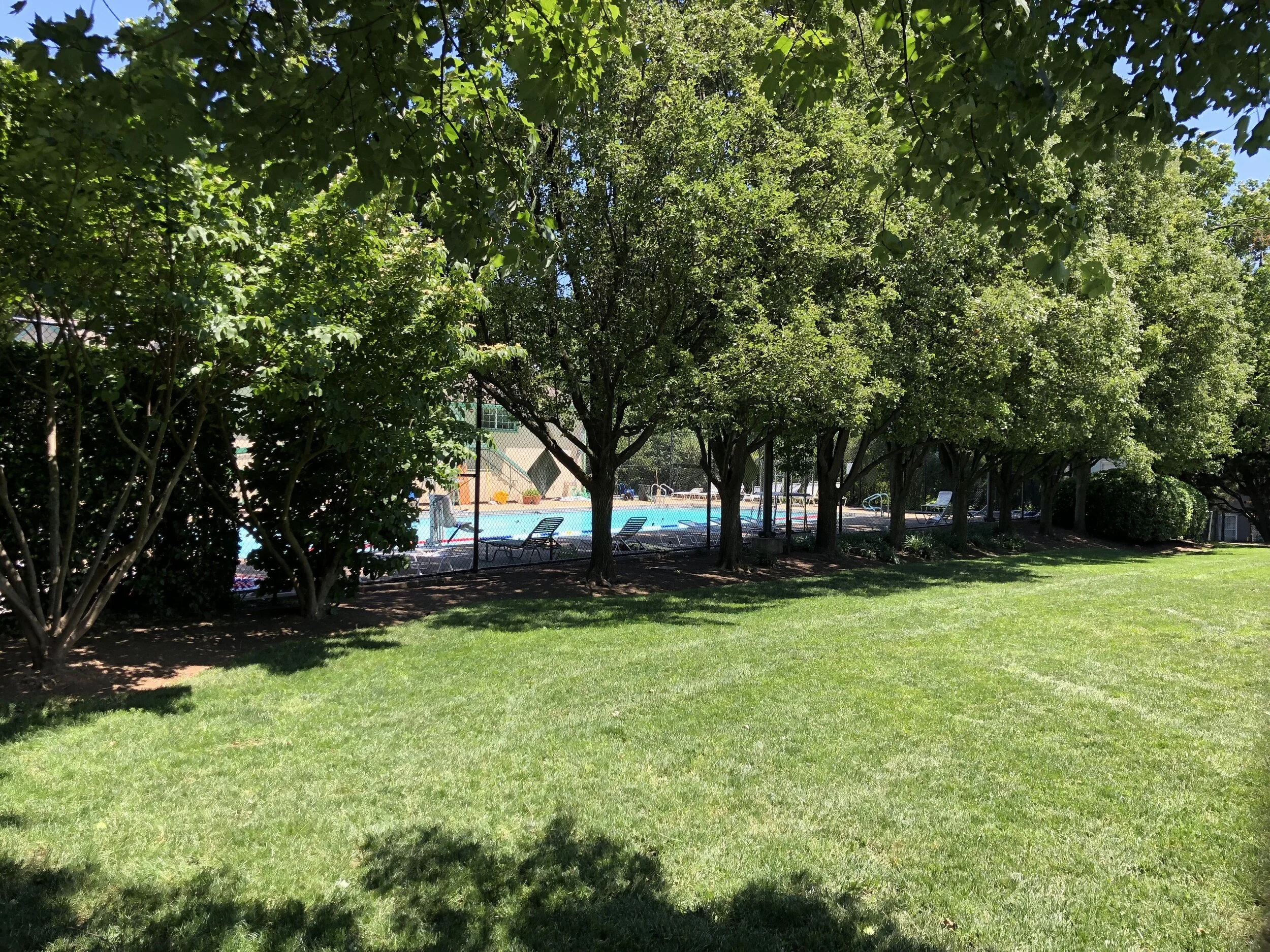 Pool — FRIENDS OF VOLTA PARK