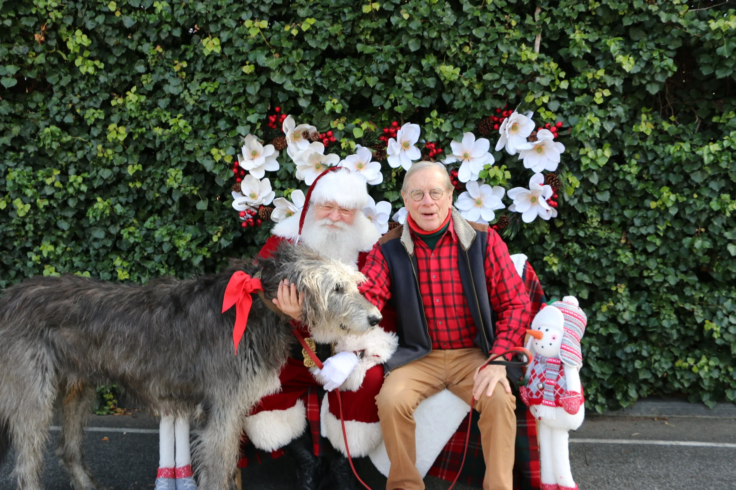 Happy Holidays in the Park and a Santa Visit