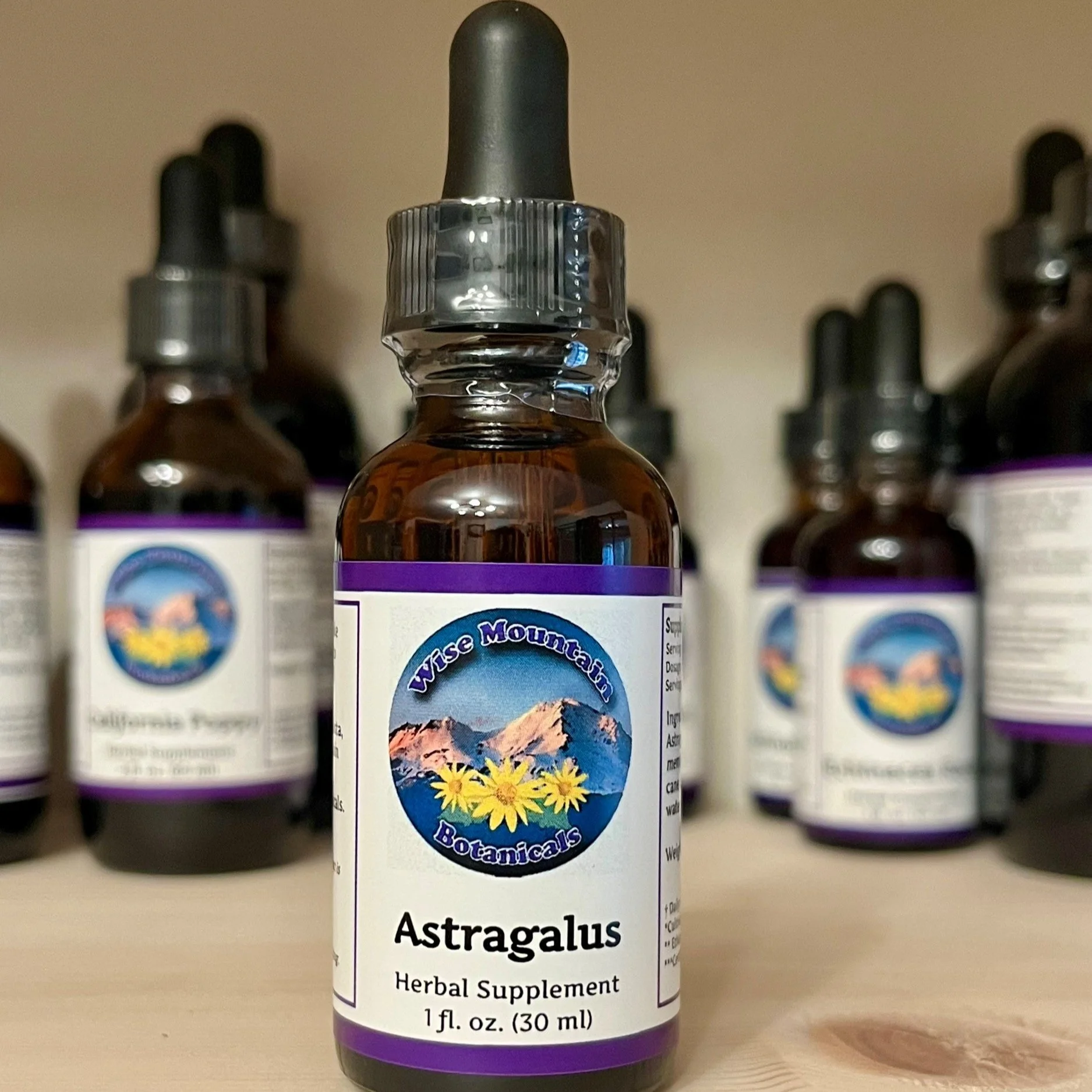 Astragalus root tincture (Astragalus membranaceous)