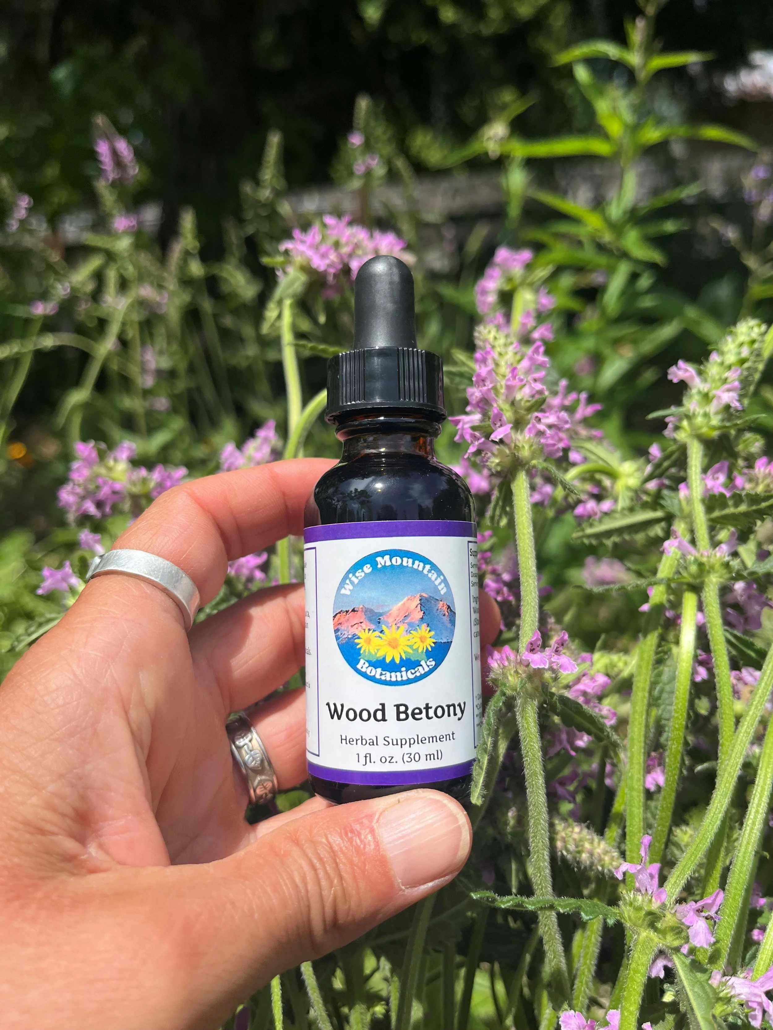 Wood Betony Tincture (Stachys officinalis) Fresh plant extract *Grown on our micro farm in Mount Shasta, California