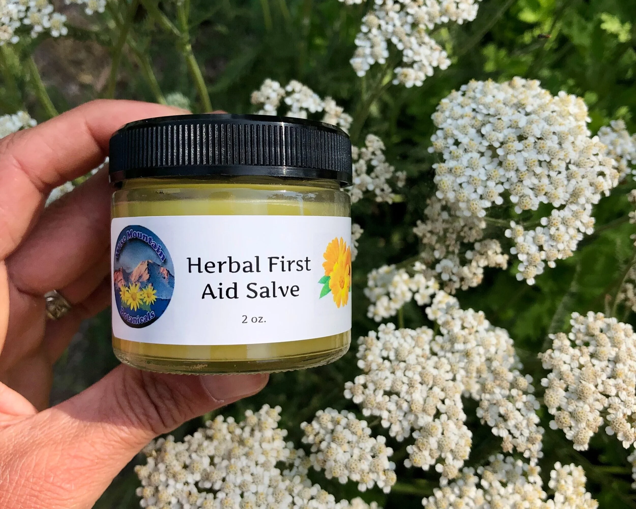 Herbal First Aid Salve