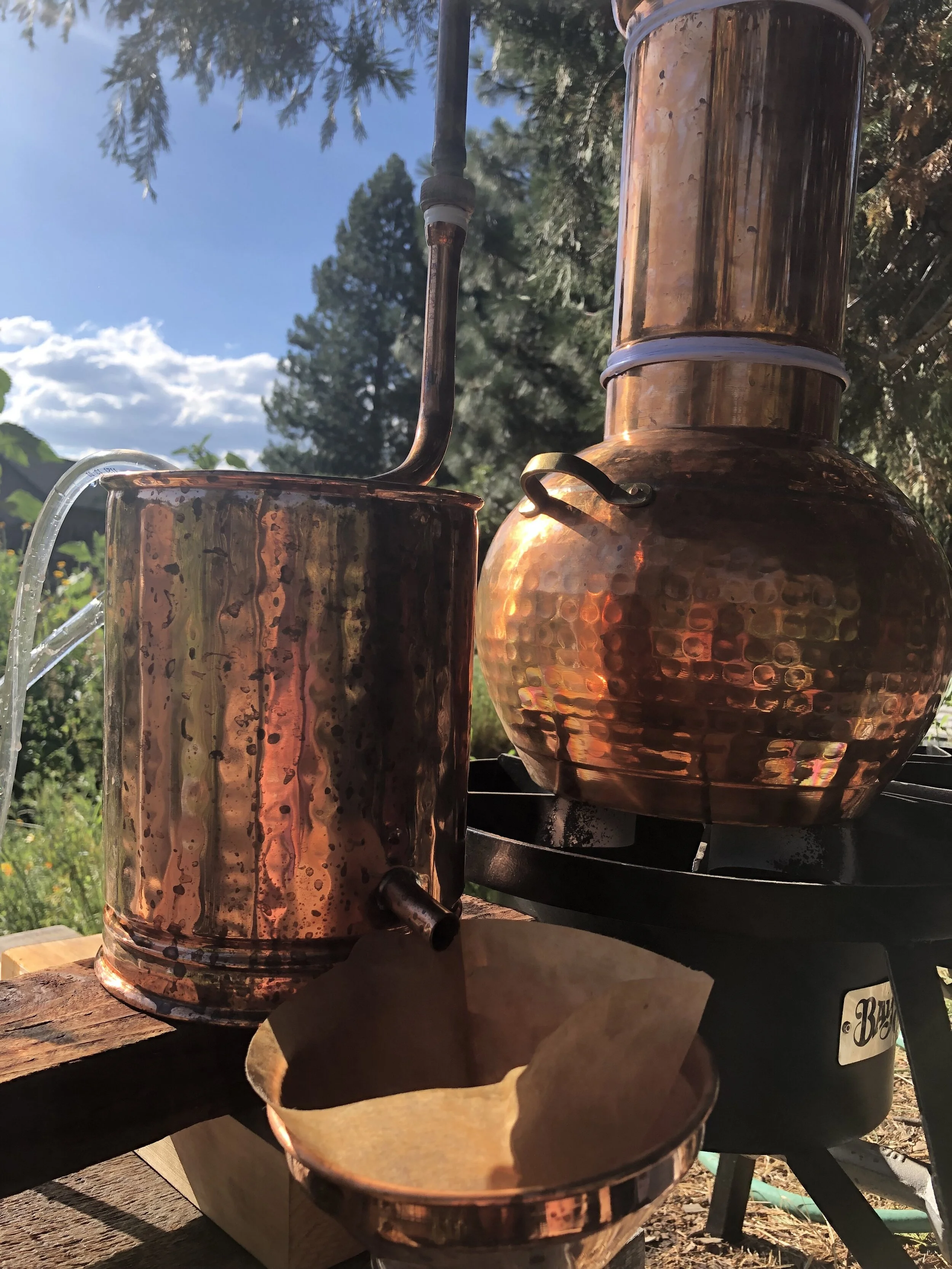 distillation in the garden