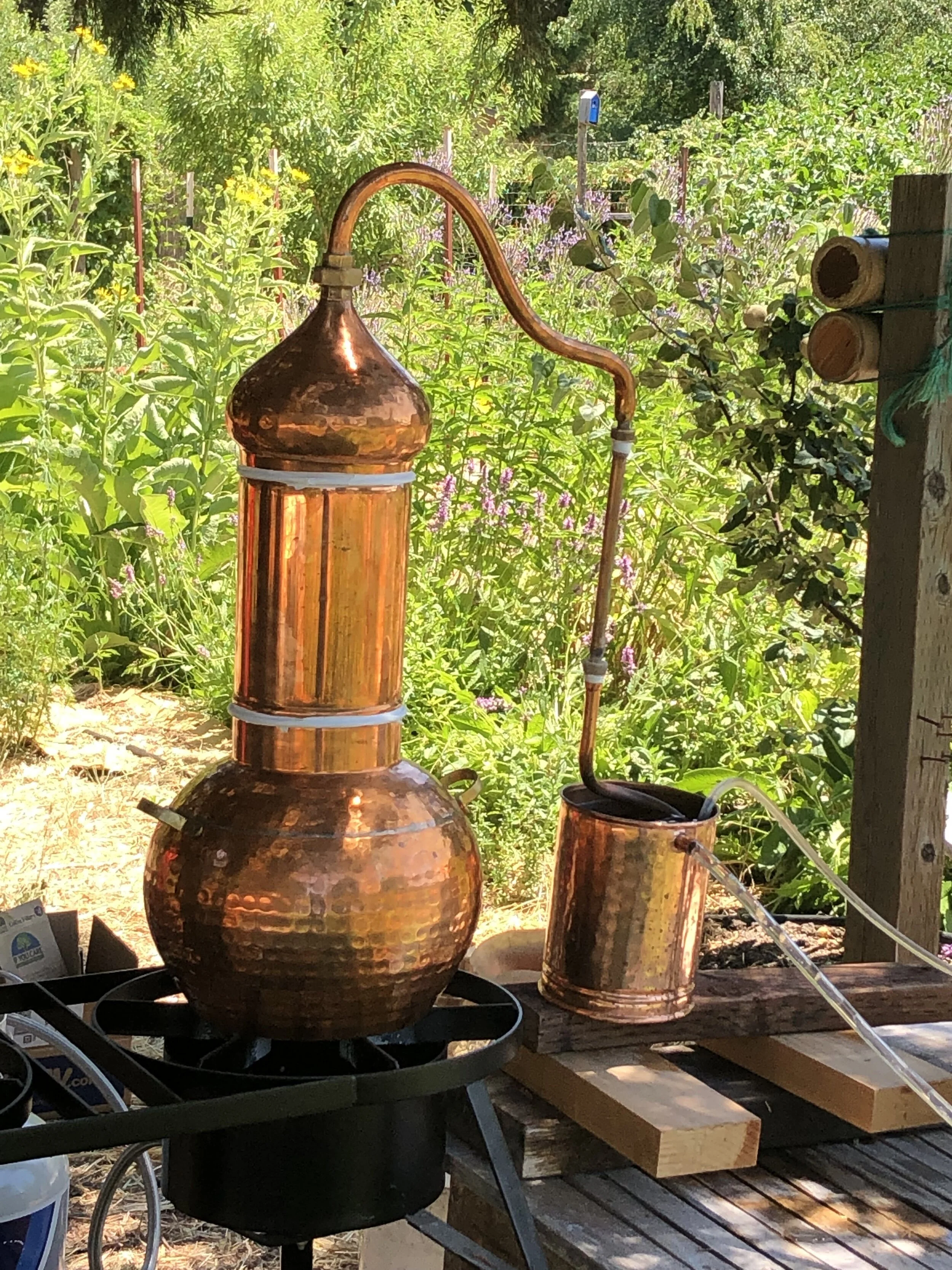 Copper still.jpg