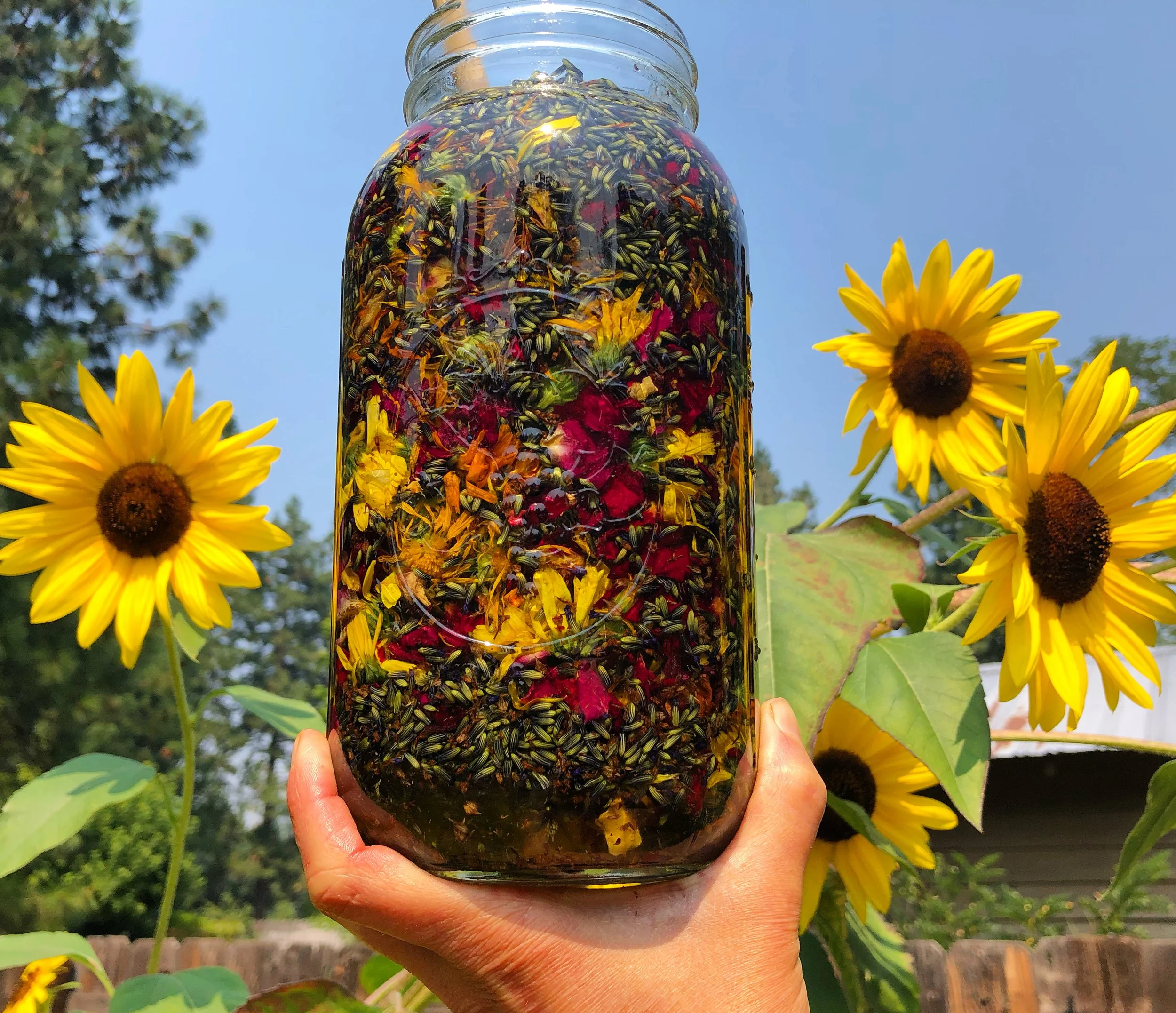 calendula lavender rose oil