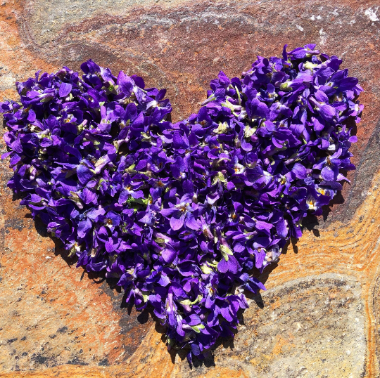 violet heart.png