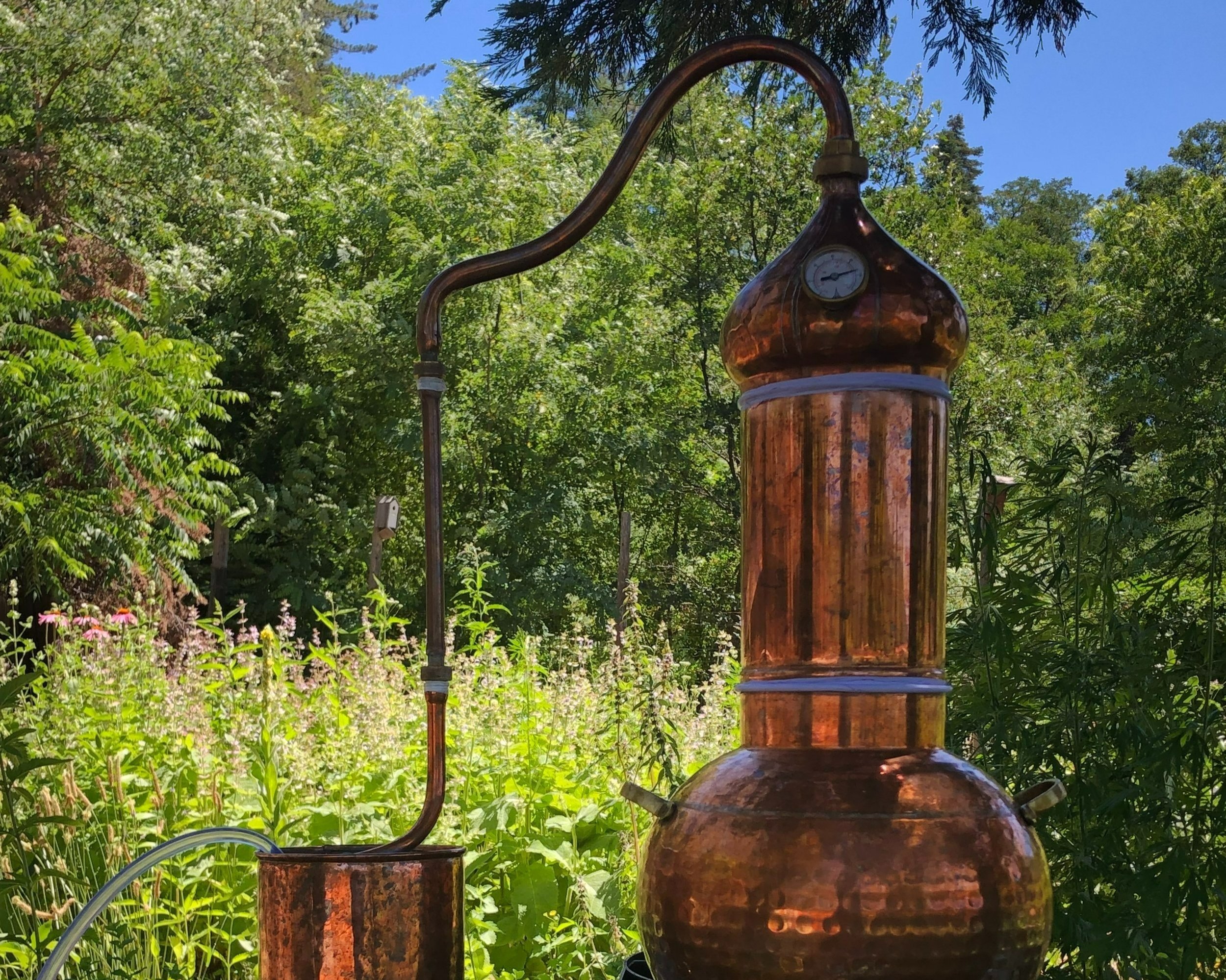 Distillation in the garden