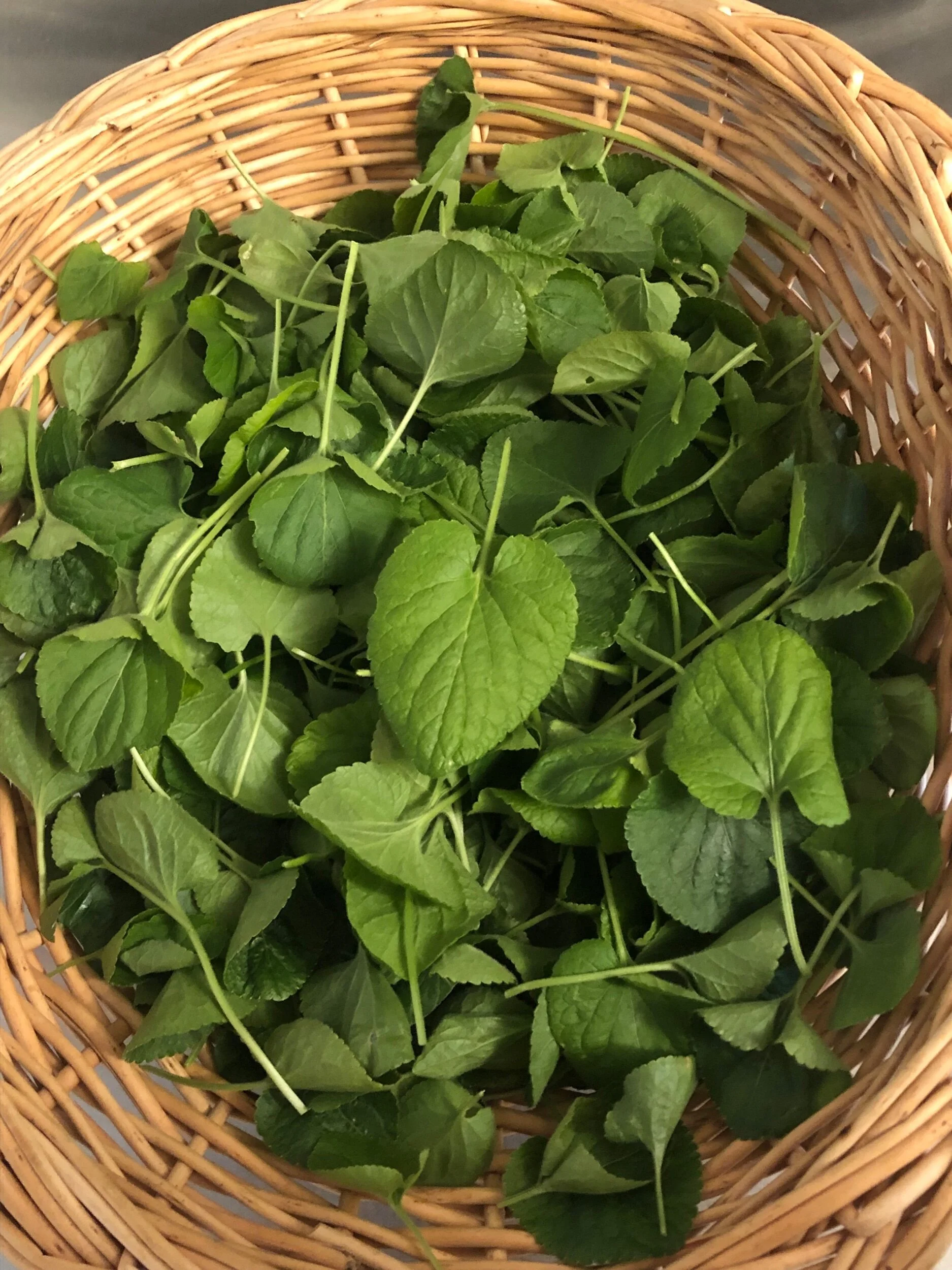 17DDB010-2656-4CBF-BC9C-0CD2B054EB70