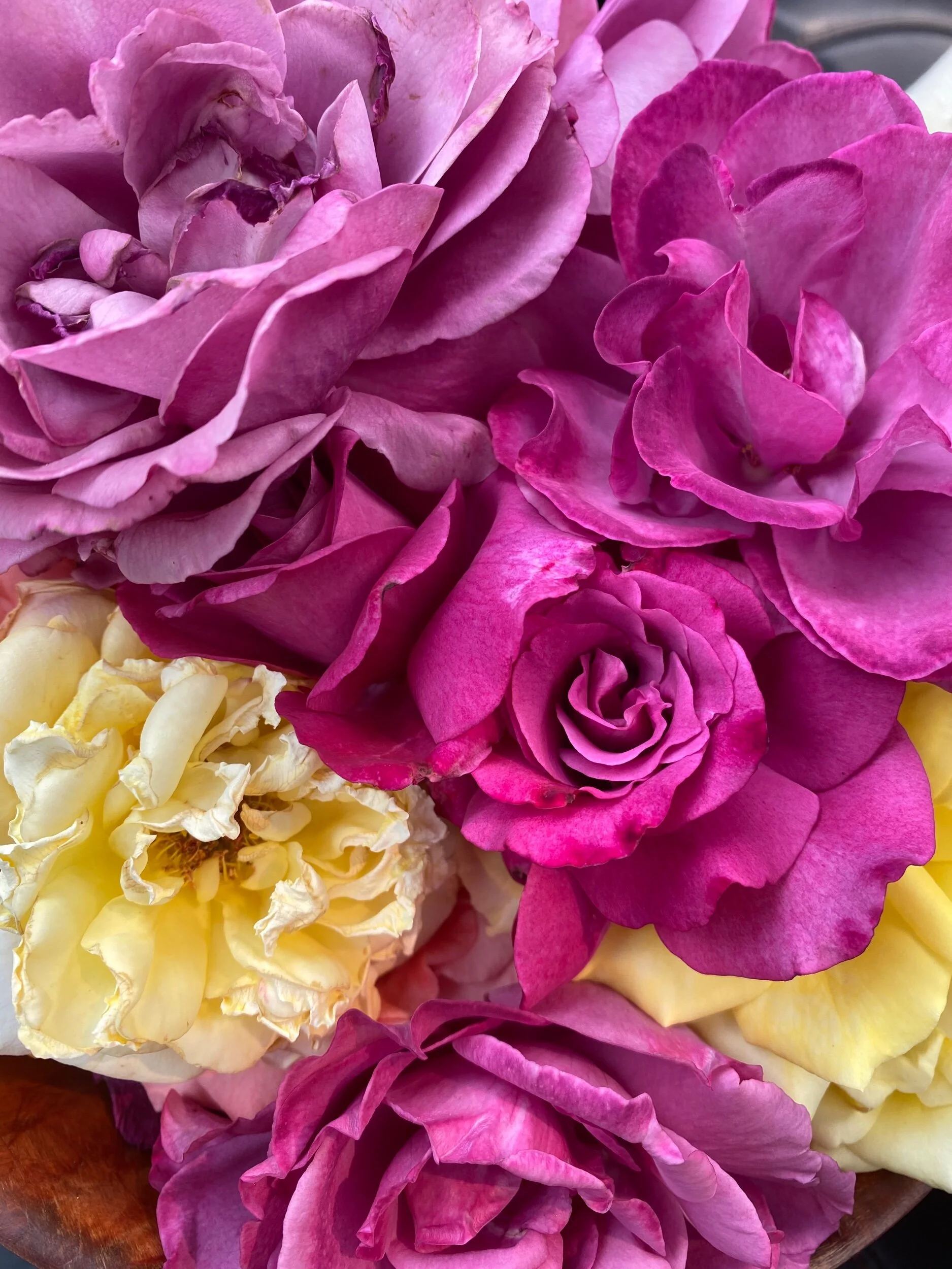 C1CF1CD4-E86B-4AEB-B560-5DD645DFFA12