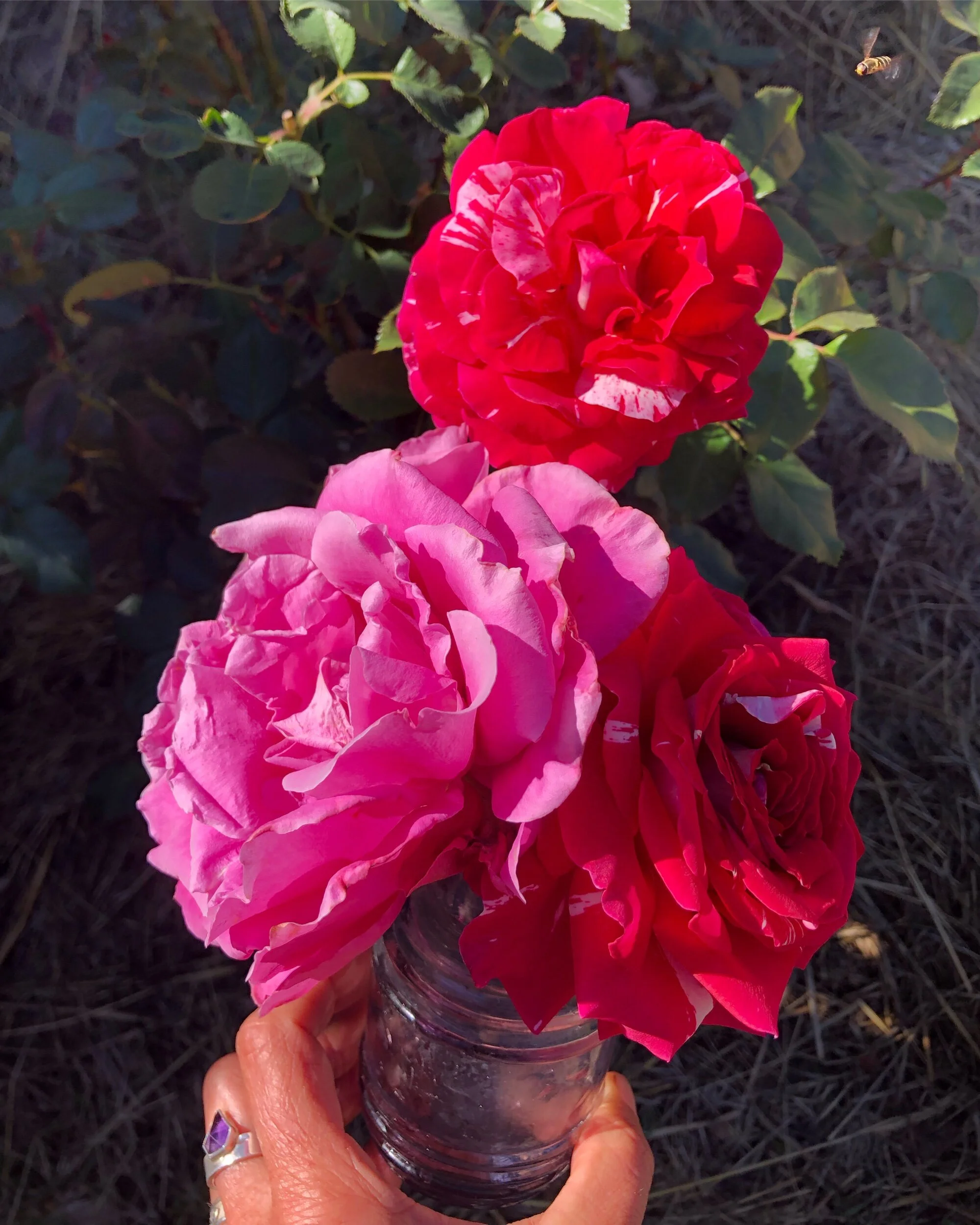 135D39D0-E319-4B62-BBD7-D0754B1F39D5