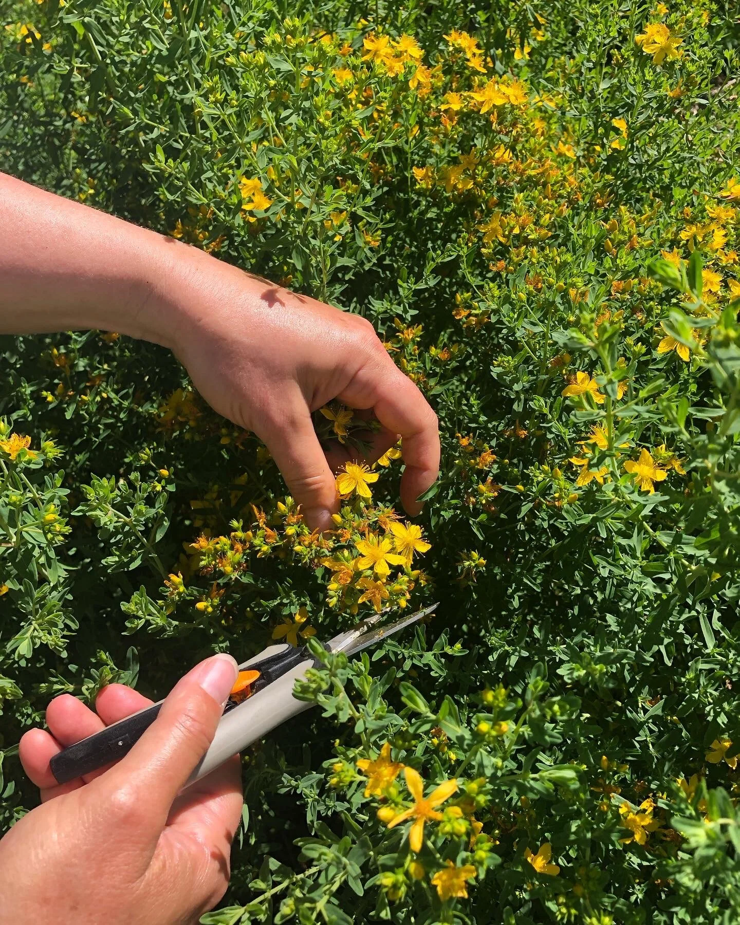 EA3265F1-4BFB-4A36-85FE-3C41B7BE5ABF