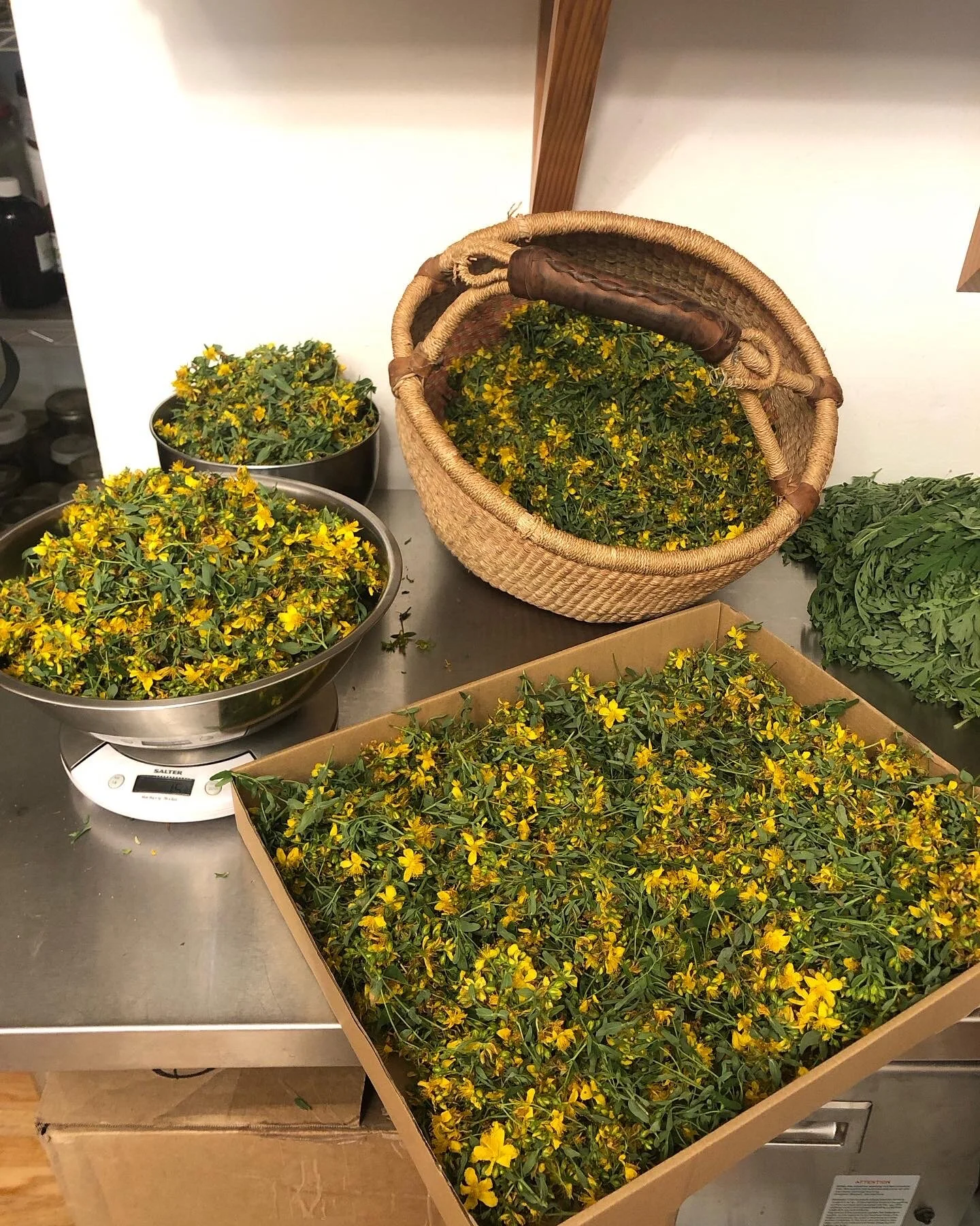 B89F79BE-4443-48E2-AF14-4B28D7A2FACA