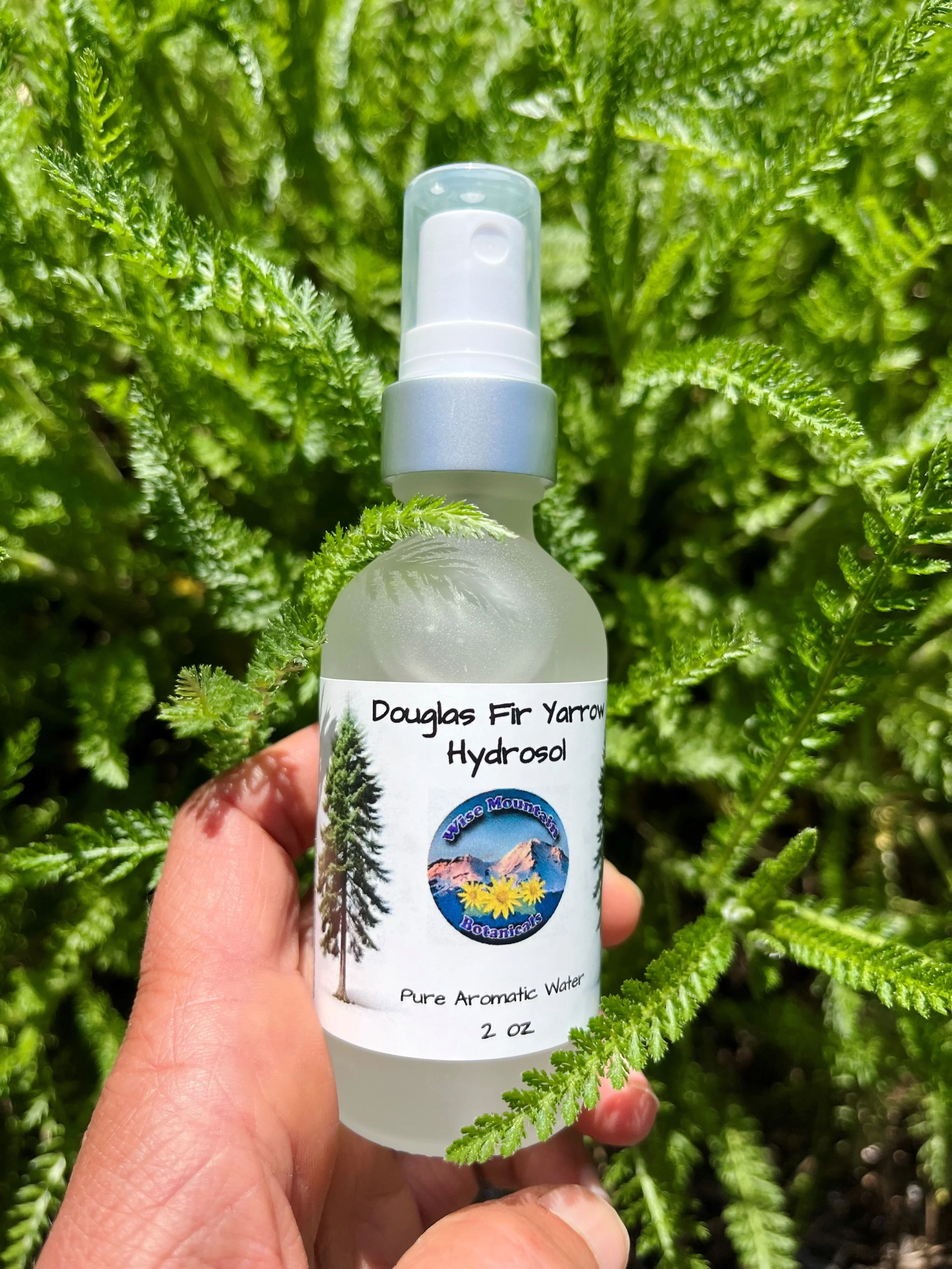 Doug Fir Yarrow Hydrosol