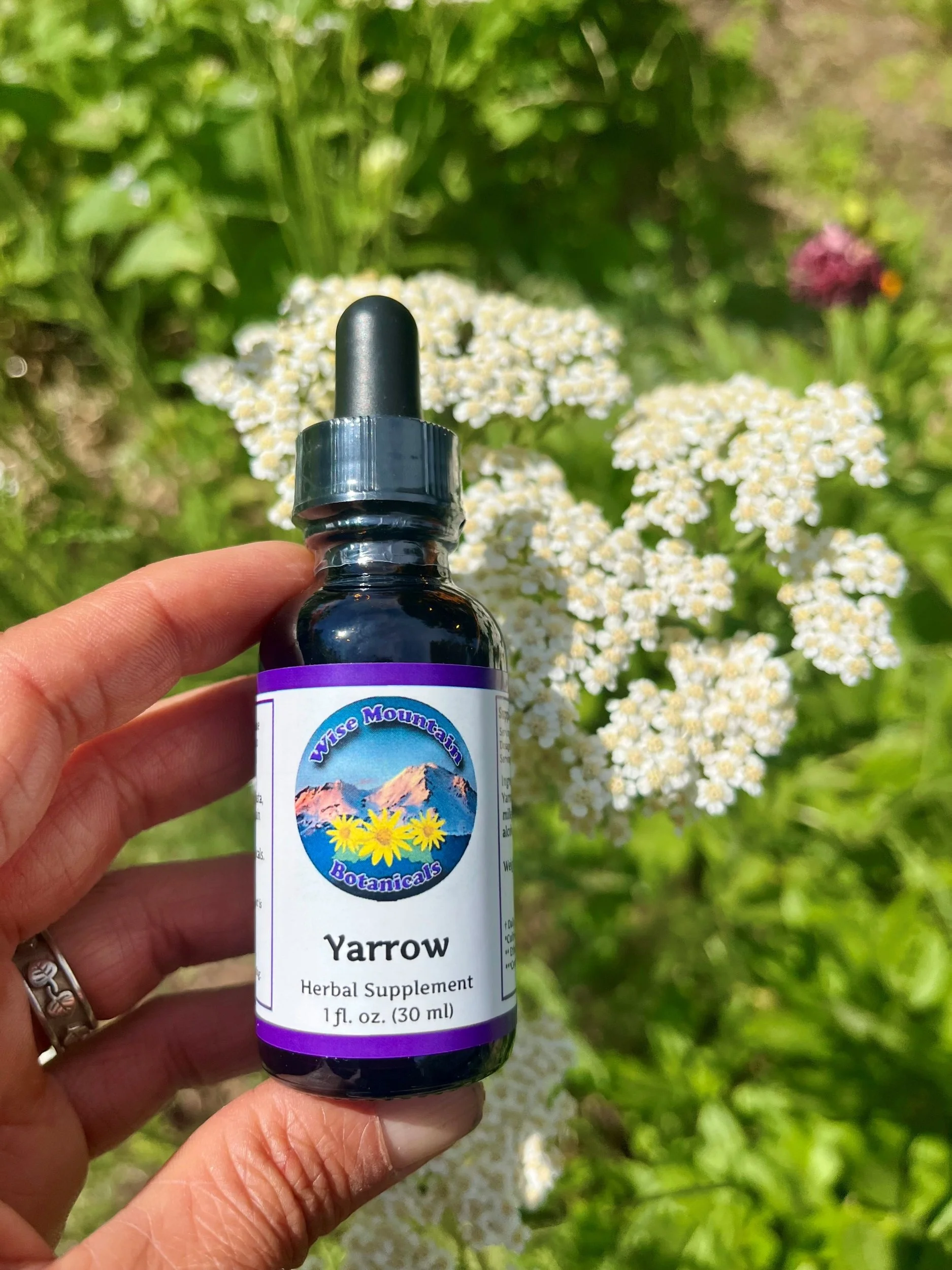 Yarrow Tincture (Achillea millefolium)- Fresh plant extract *Grown on our micro farm in Mount Shasta, California*