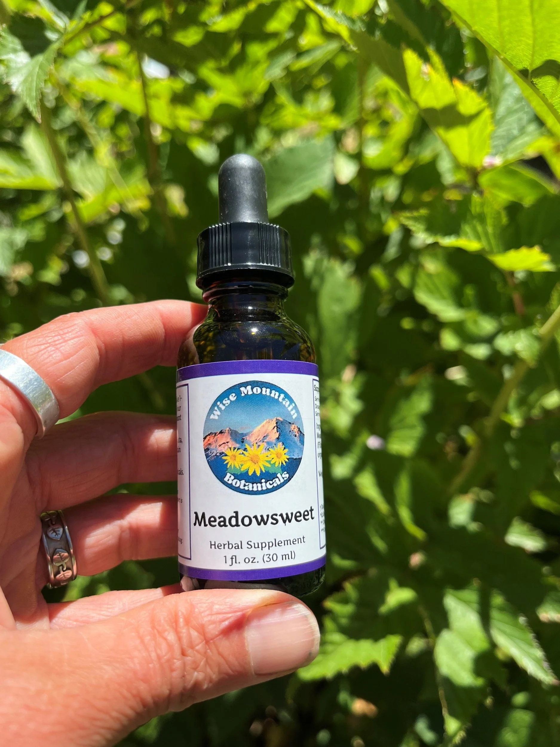 Meadowsweet Tincture (Filipendula ulmaria) - Fresh Plant Extract* Grown on our Micro-farm in Mount Shasta, CA
