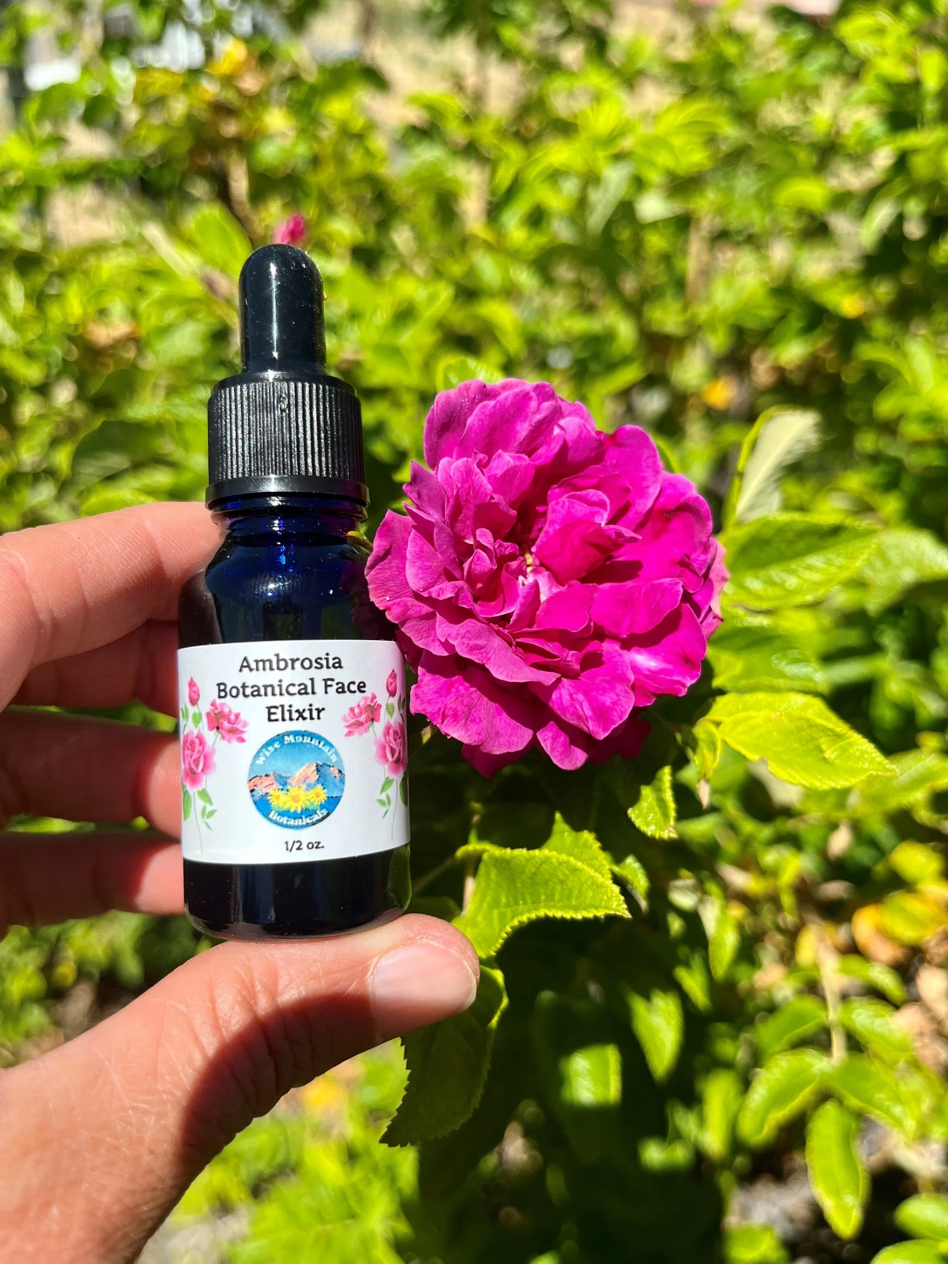 Ambrosia Botanical Face Elixir
