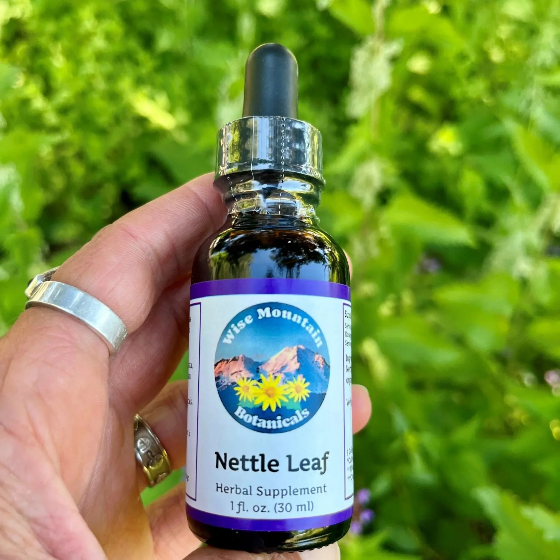 Nettle.jpg