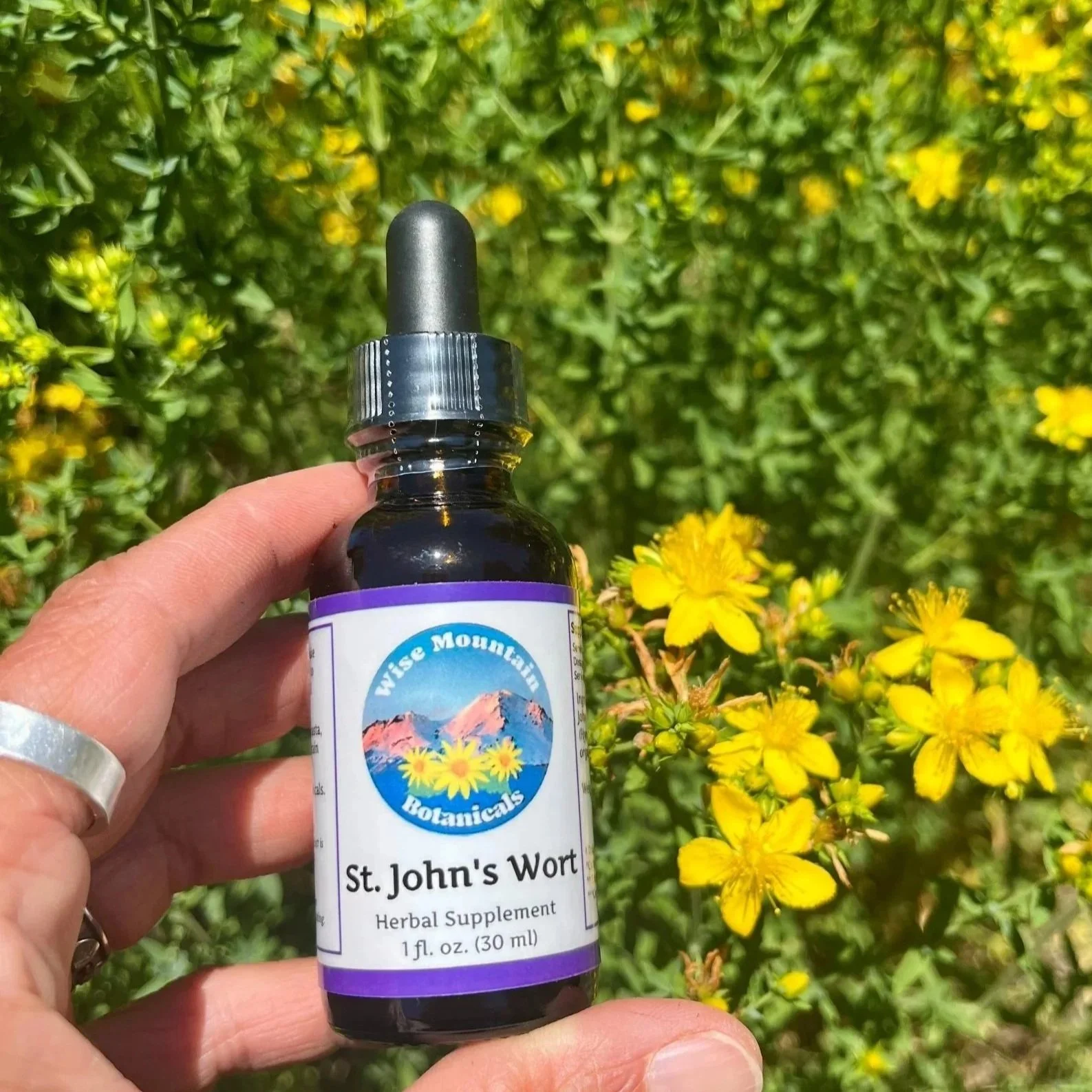 St. John's Wort Tincture (Hypericum perforatum)- Fresh plant extract *Grown on our micro farm in Mount Shasta, California*
