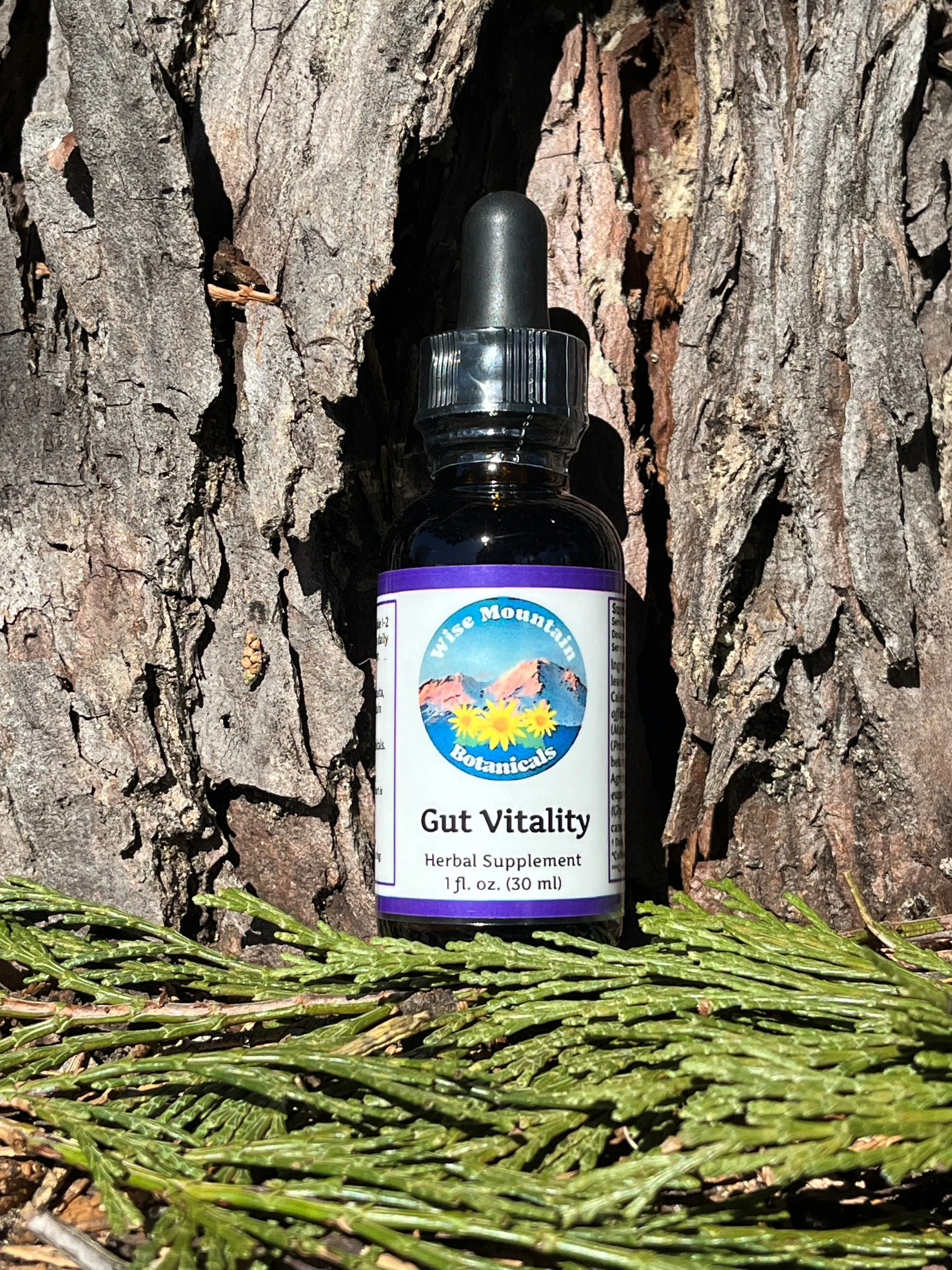 Gut Vitality Tincture