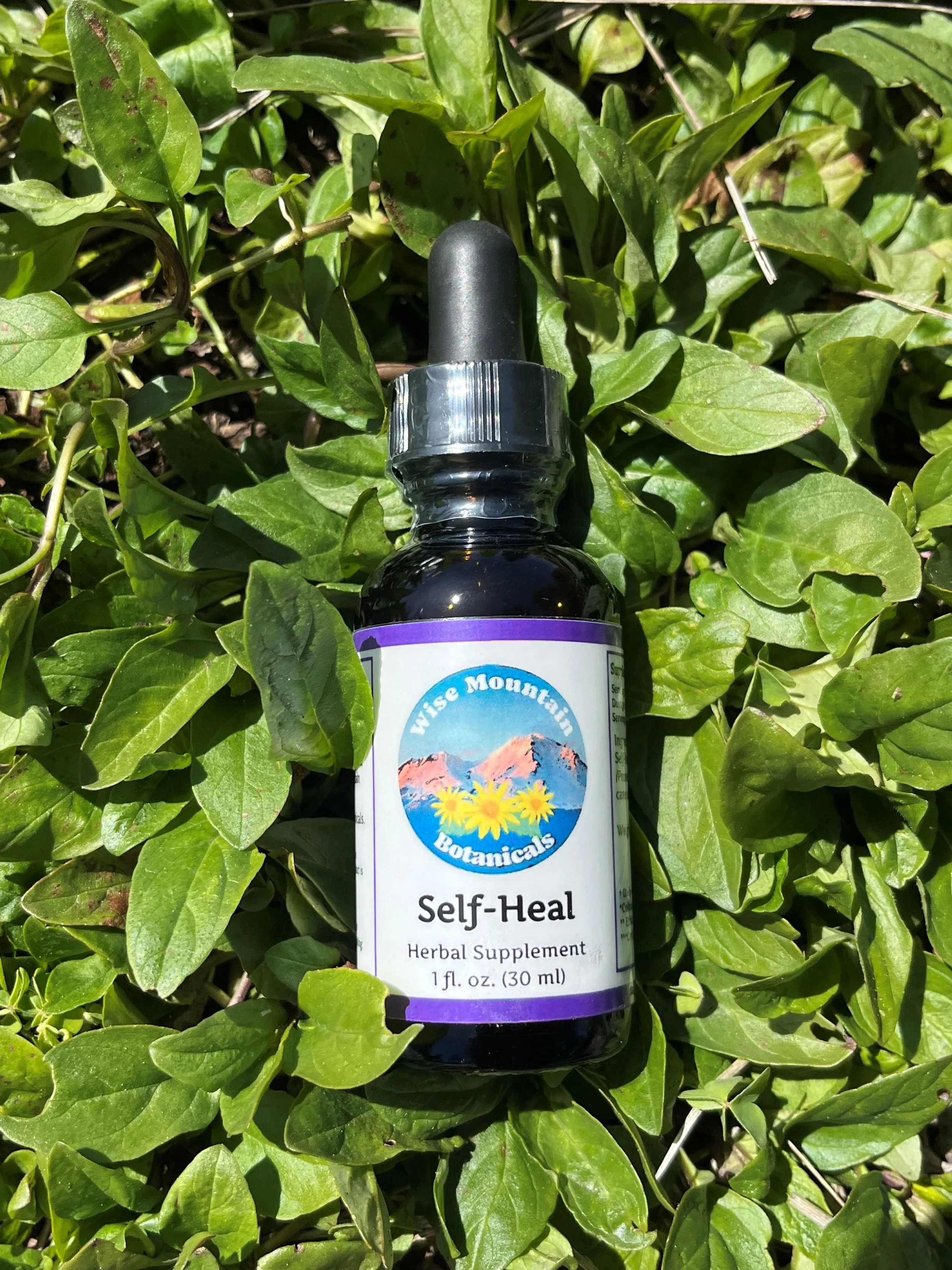 Self Heal Tincture (Prunella vulgaris)- Fresh plant extract *Grown on our micro farm in Mount Shasta, California*