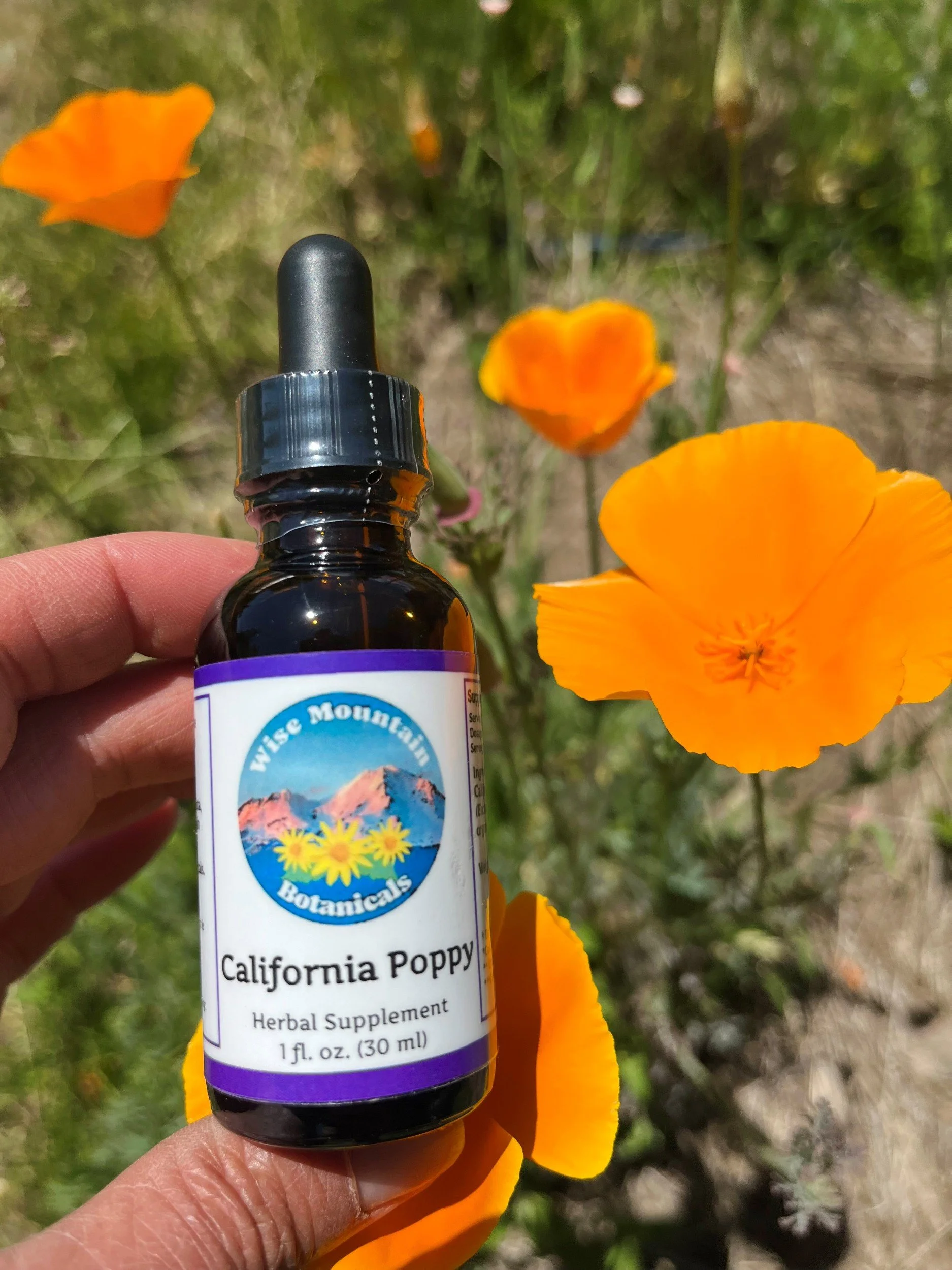 California Poppy Tincture (Eschscholzia californica)- Fresh plant extract *Grown on our micro farm in Mount Shasta, California*