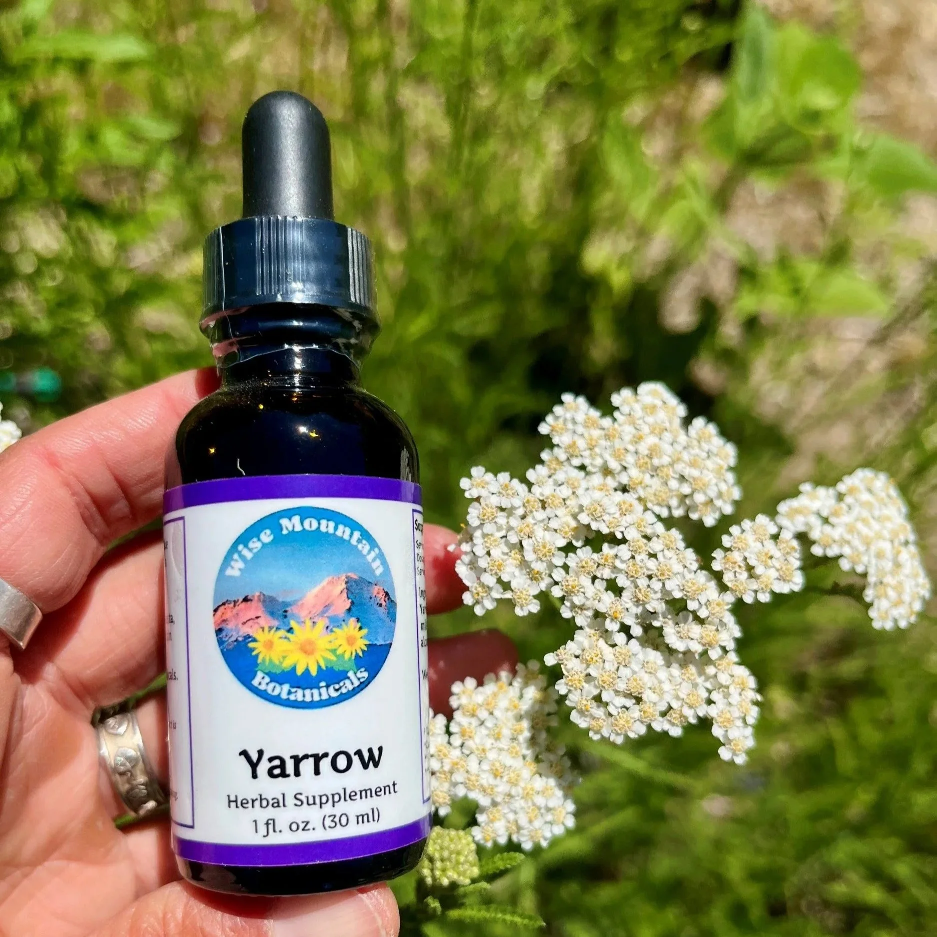 Yarrow Tincture (Achillea millefolium)- Fresh plant extract *Grown on our micro farm in Mount Shasta, California*
