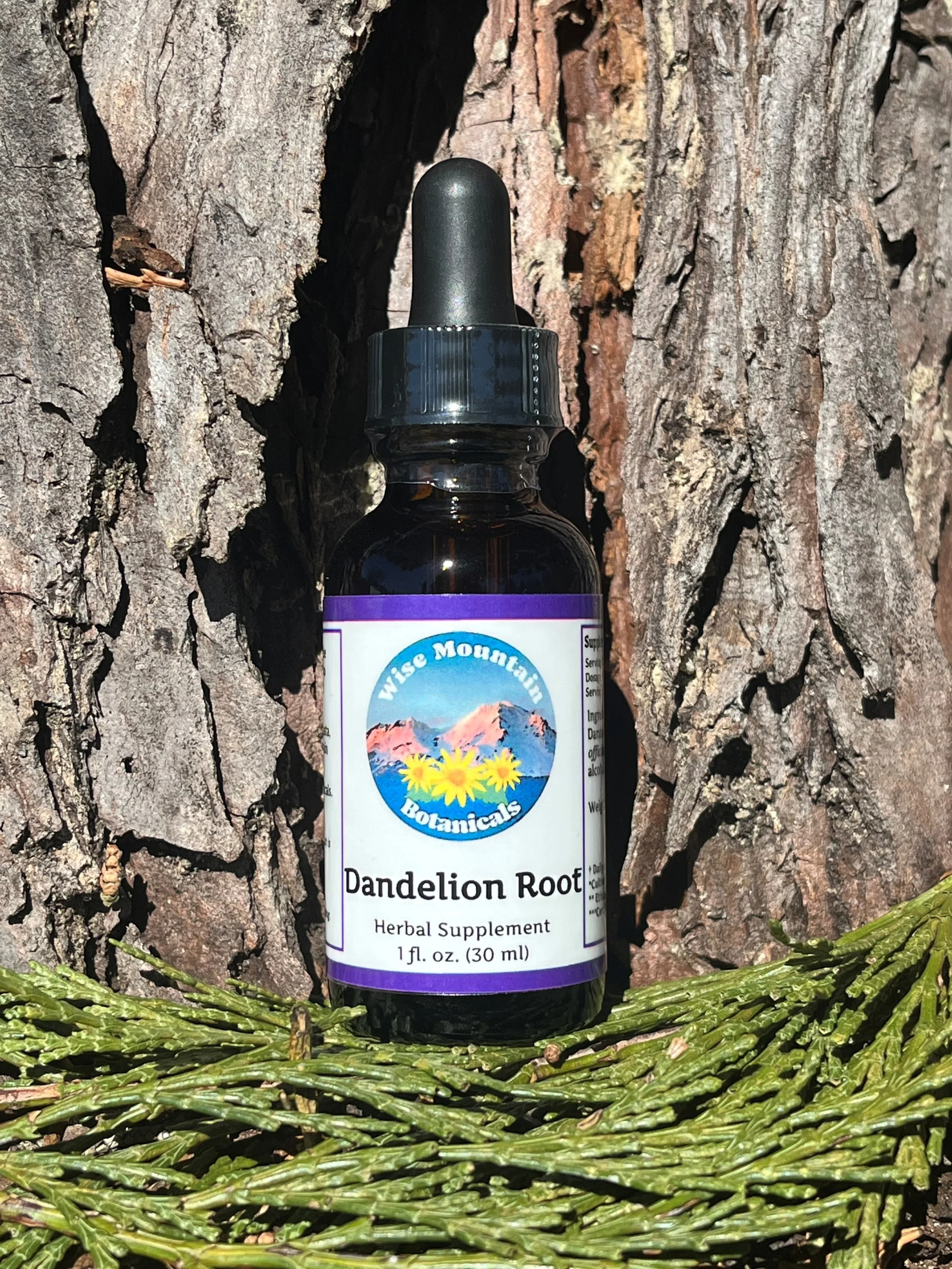 Dandelion Tincture (Taraxacum officinale)- Fresh plant extract *Grown on our micro farm in Mount Shasta, California*