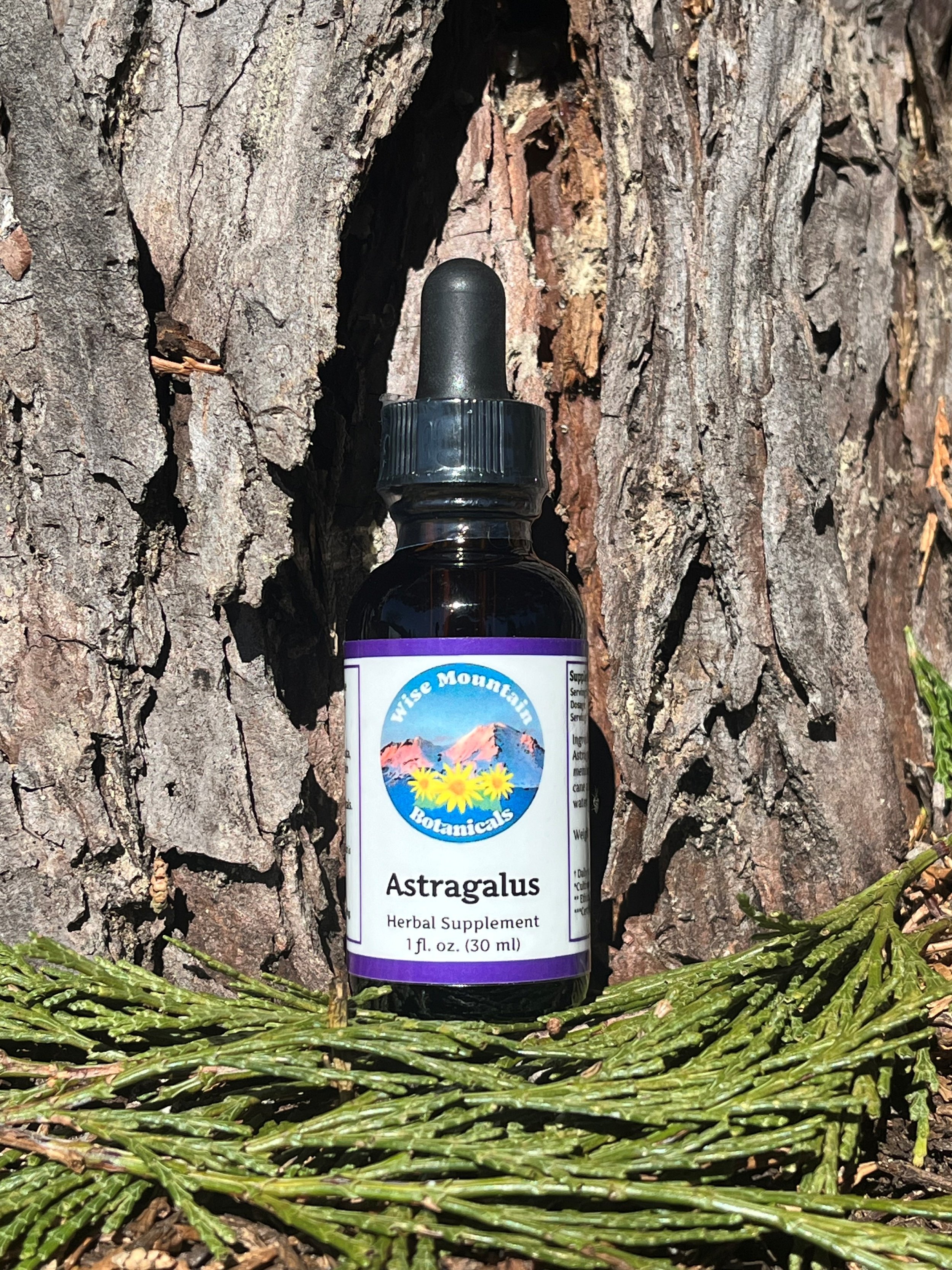 Astragalus Root Tincture (Astragalus membranaceous)- Dry plant extract *Certified organic*