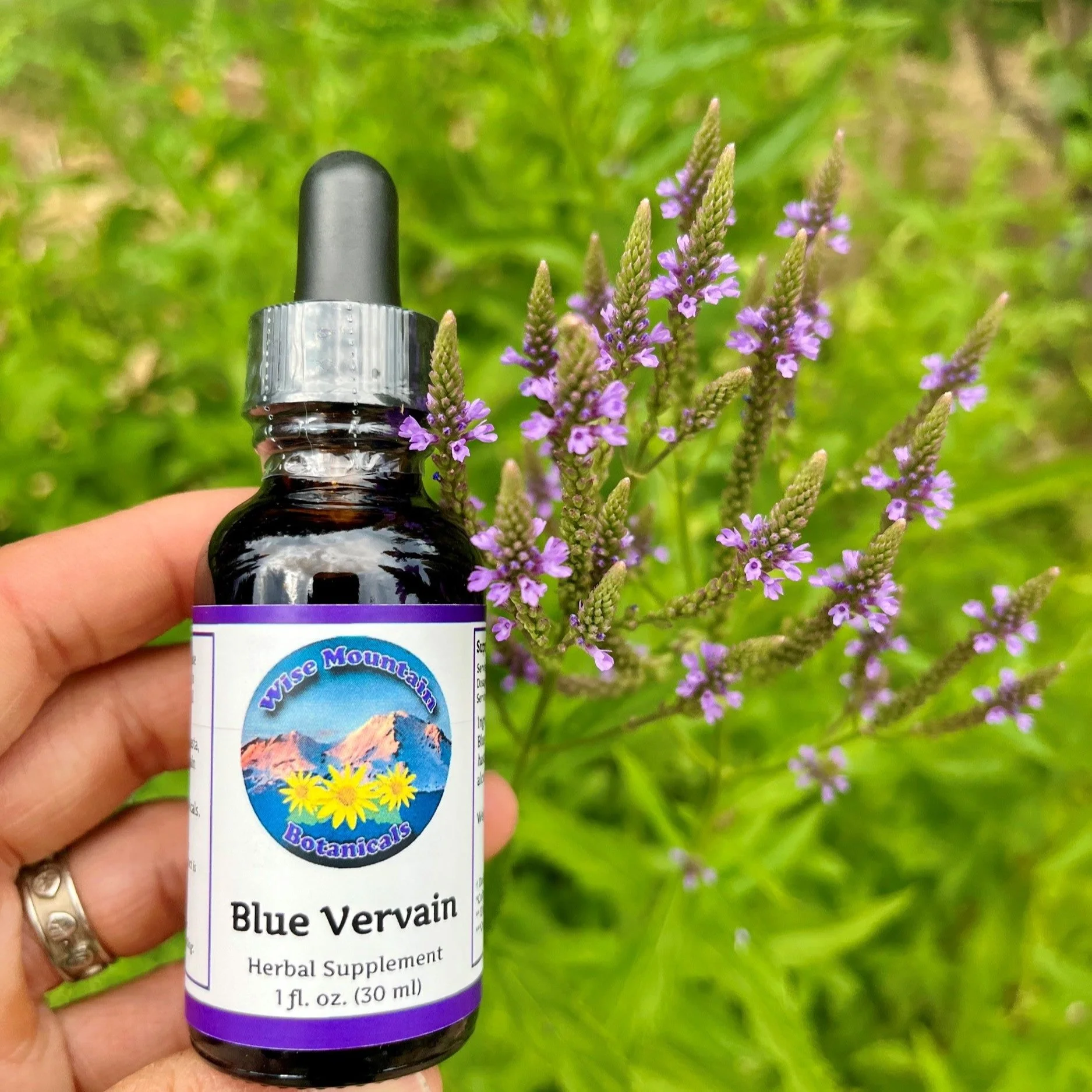 blue vervain (Verbena hastata) tincture