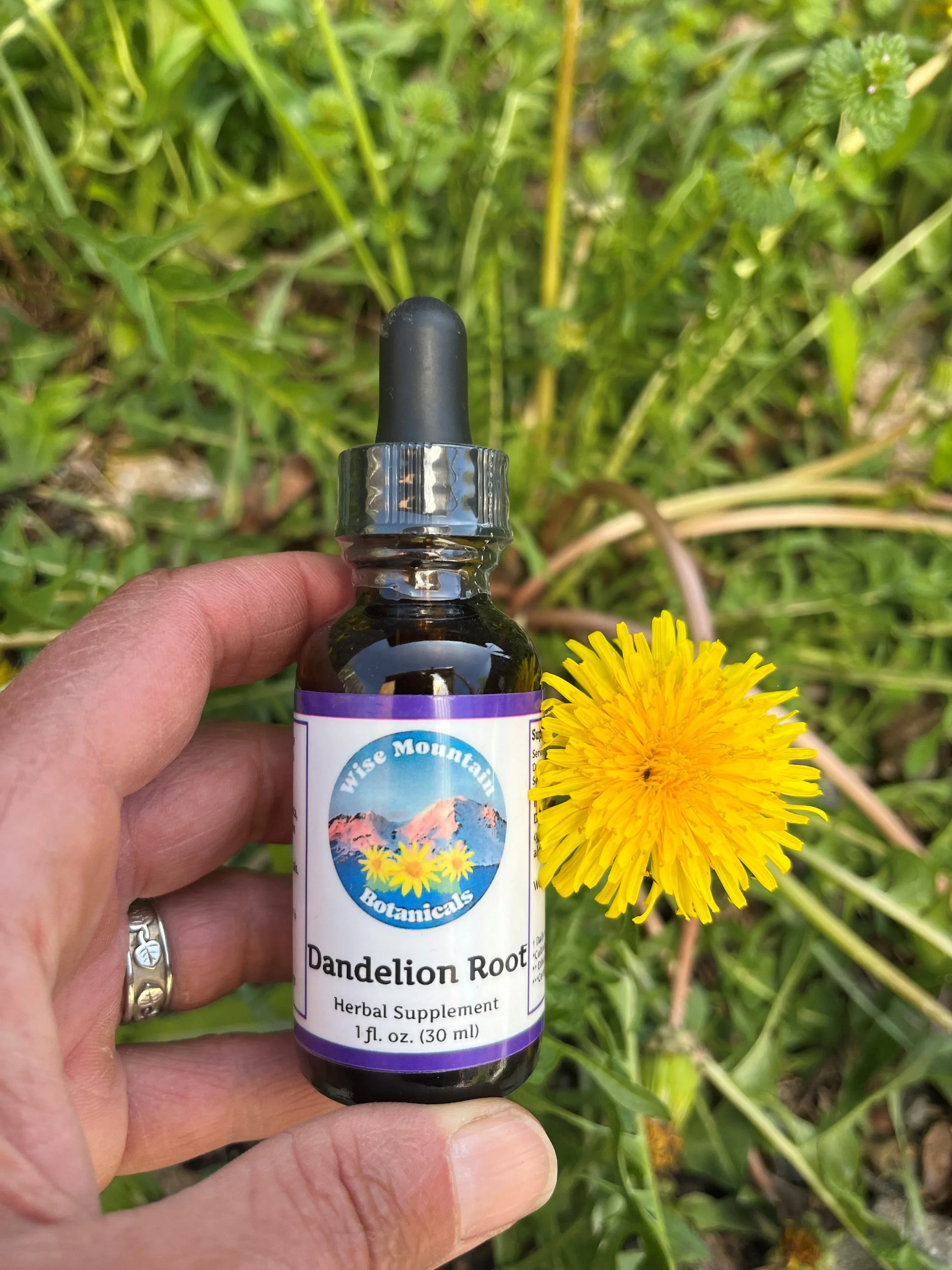 Dandelion Tincture (Taraxacum officinale)- Fresh plant extract *Grown on our micro farm in Mount Shasta, California*