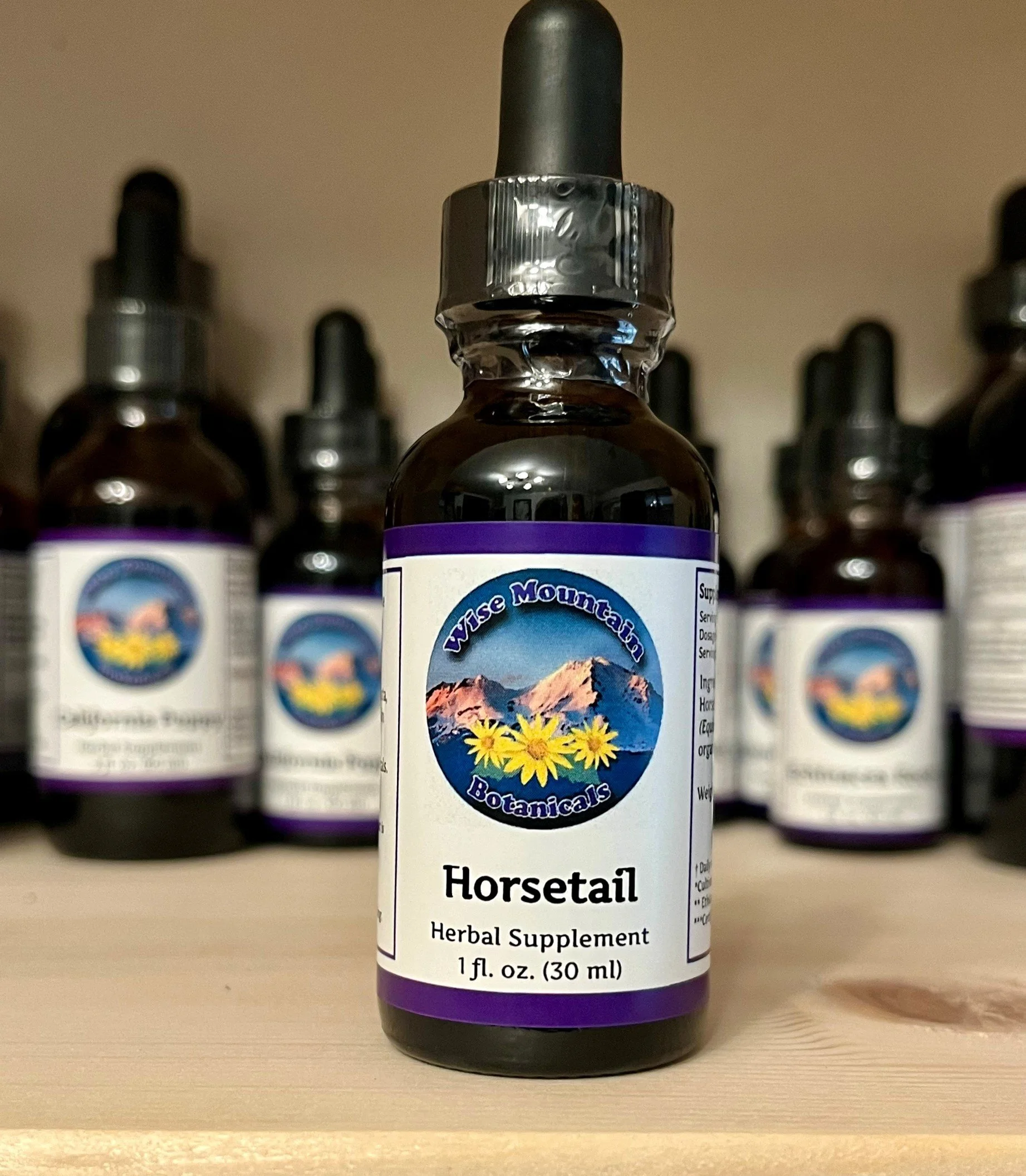 Horsetail Tincture (Equisetum arvense)- Fresh plant extract *Wild harvested from the mountains of far northern California*