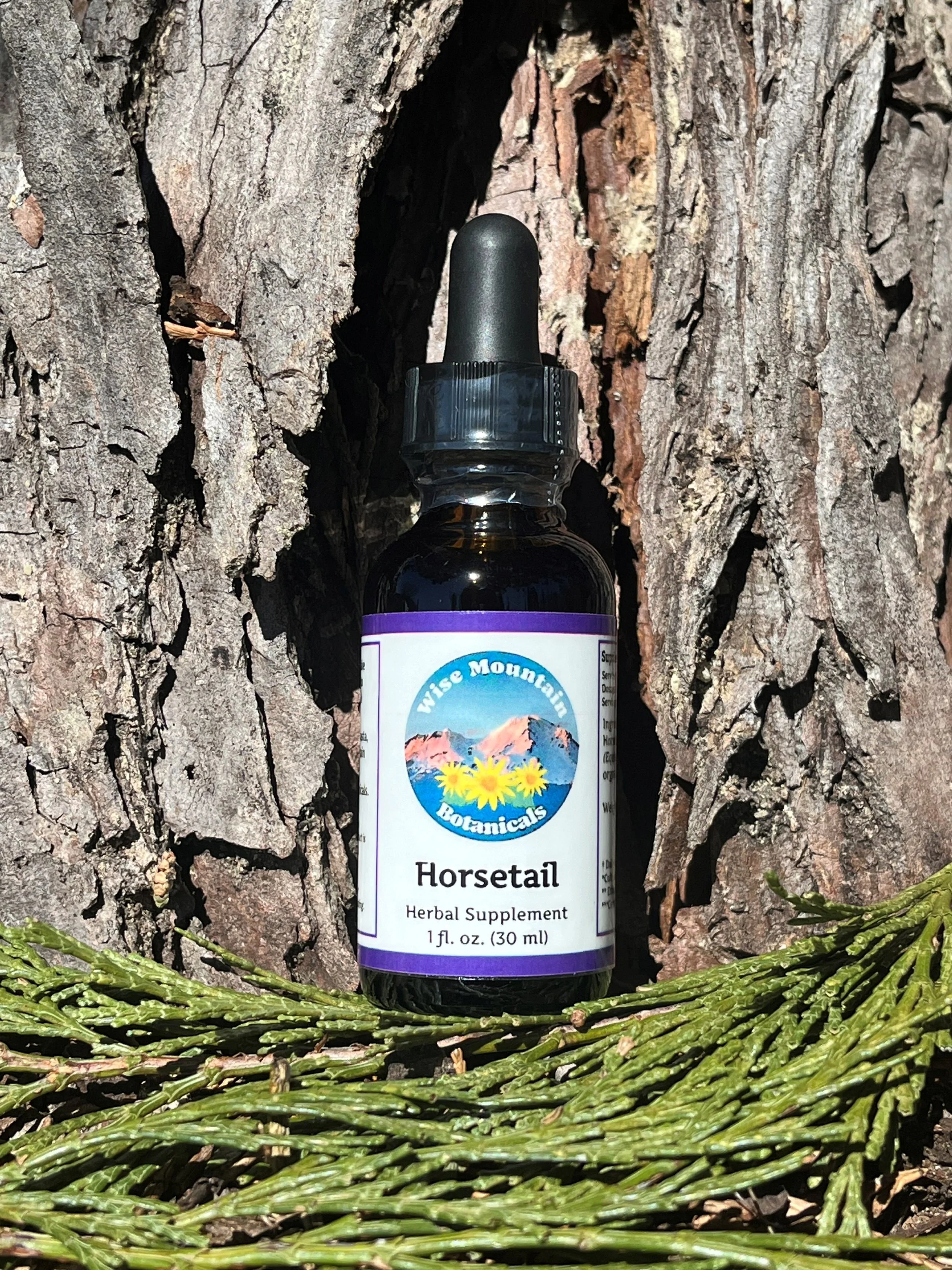 Horsetail Tincture (Equisetum arvense)- Fresh plant extract *Wild harvested from the mountains of far northern California*