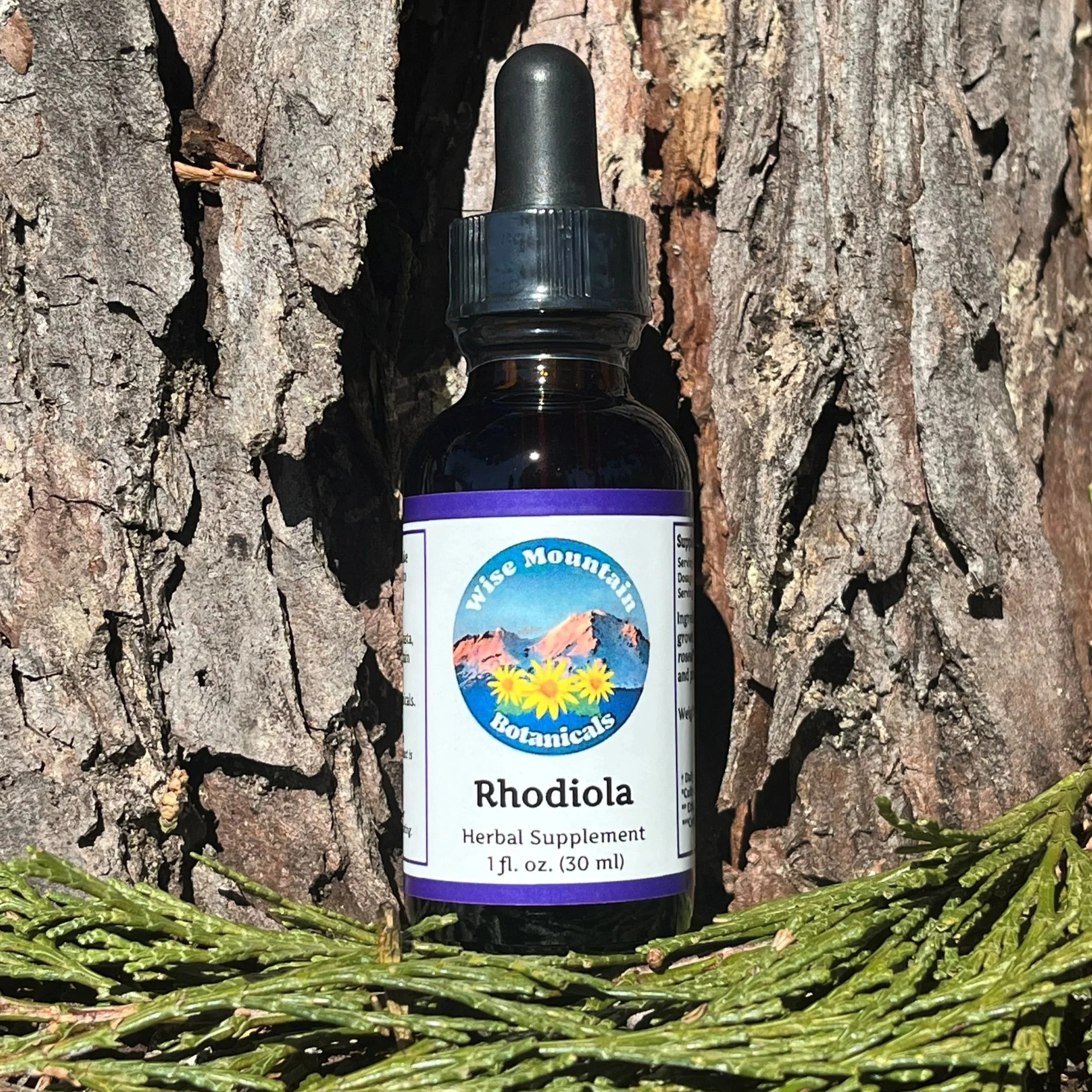 Rhodiola.jpg
