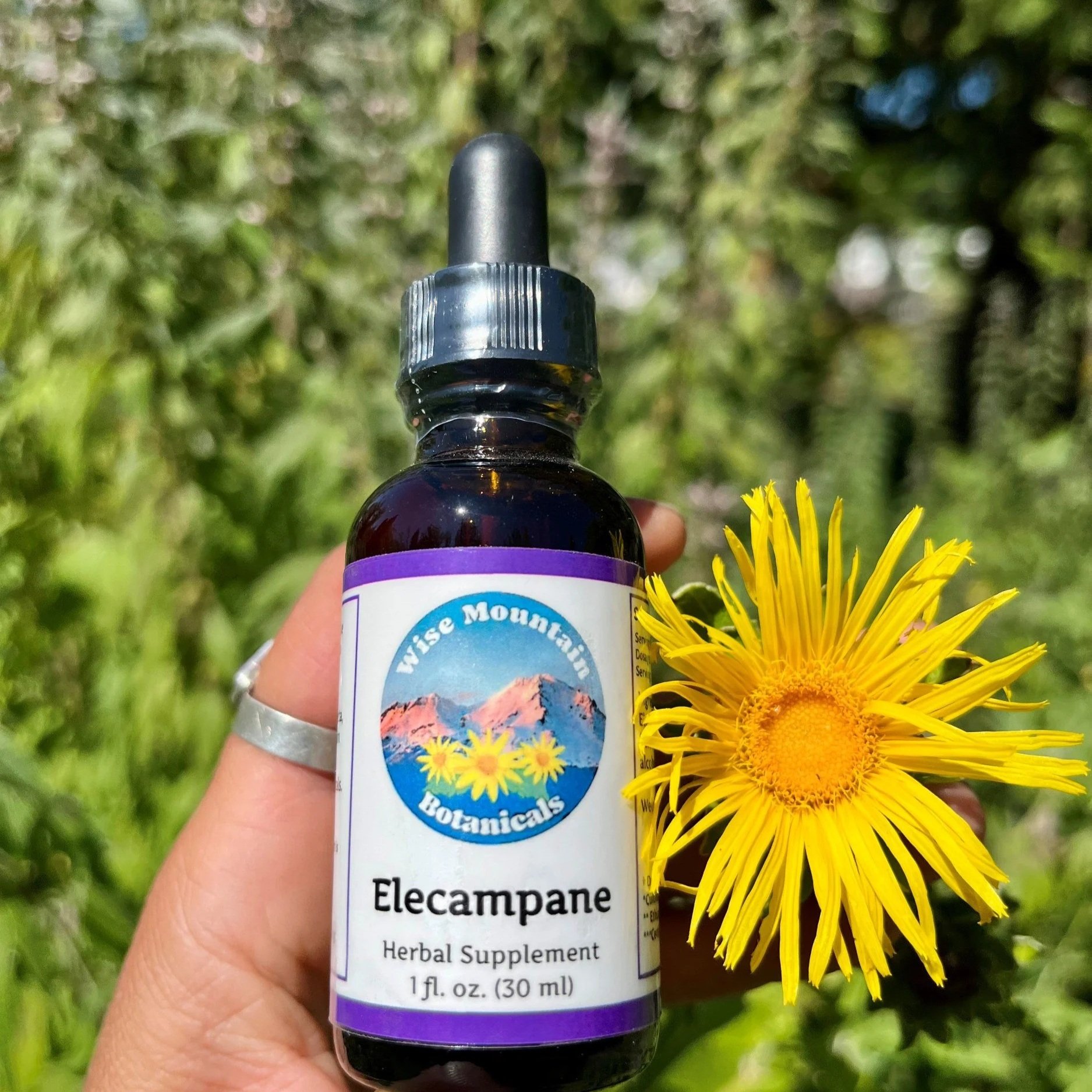 Elecampane Root Tincture (Inula helenium)- Fresh plant extract *Grown on our micro farm in Mount Shasta, California*