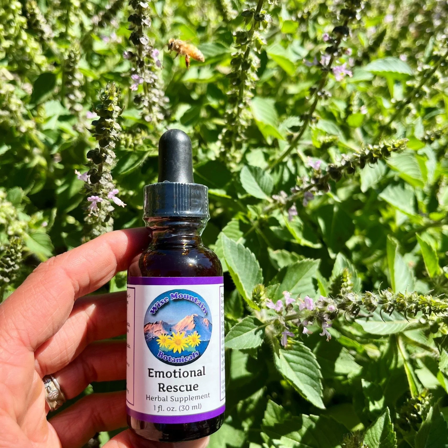 Emotional Rescue tincture