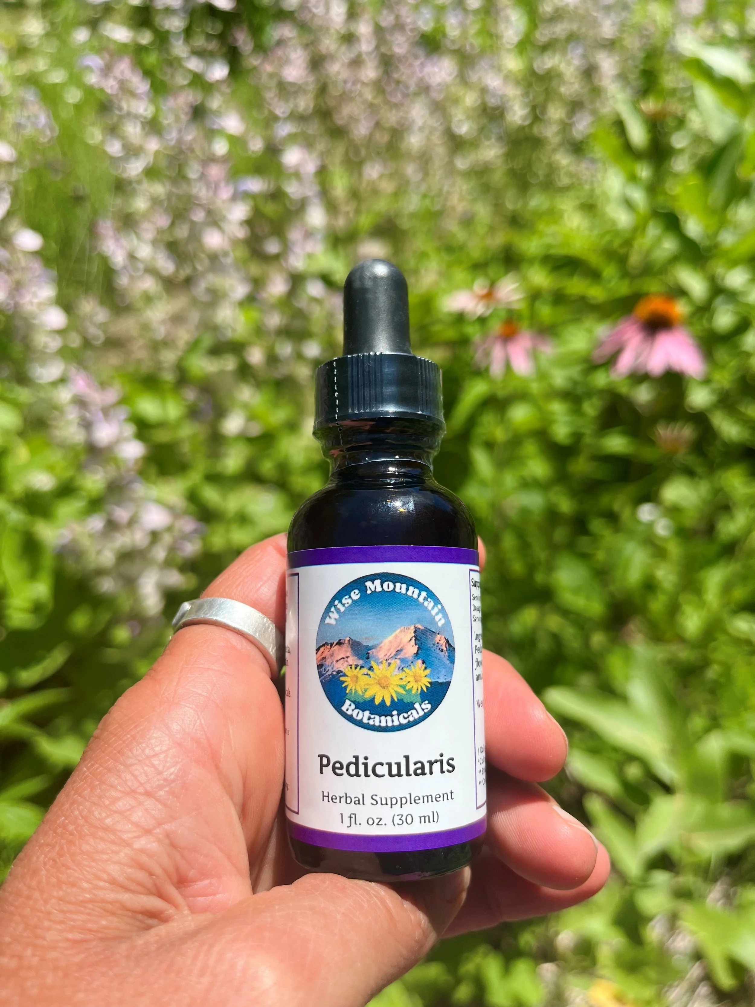 Pedicularis Tincture (Pedicularis densiflora)- Fresh plant extract *Wild harvested from the mountains of far northern California