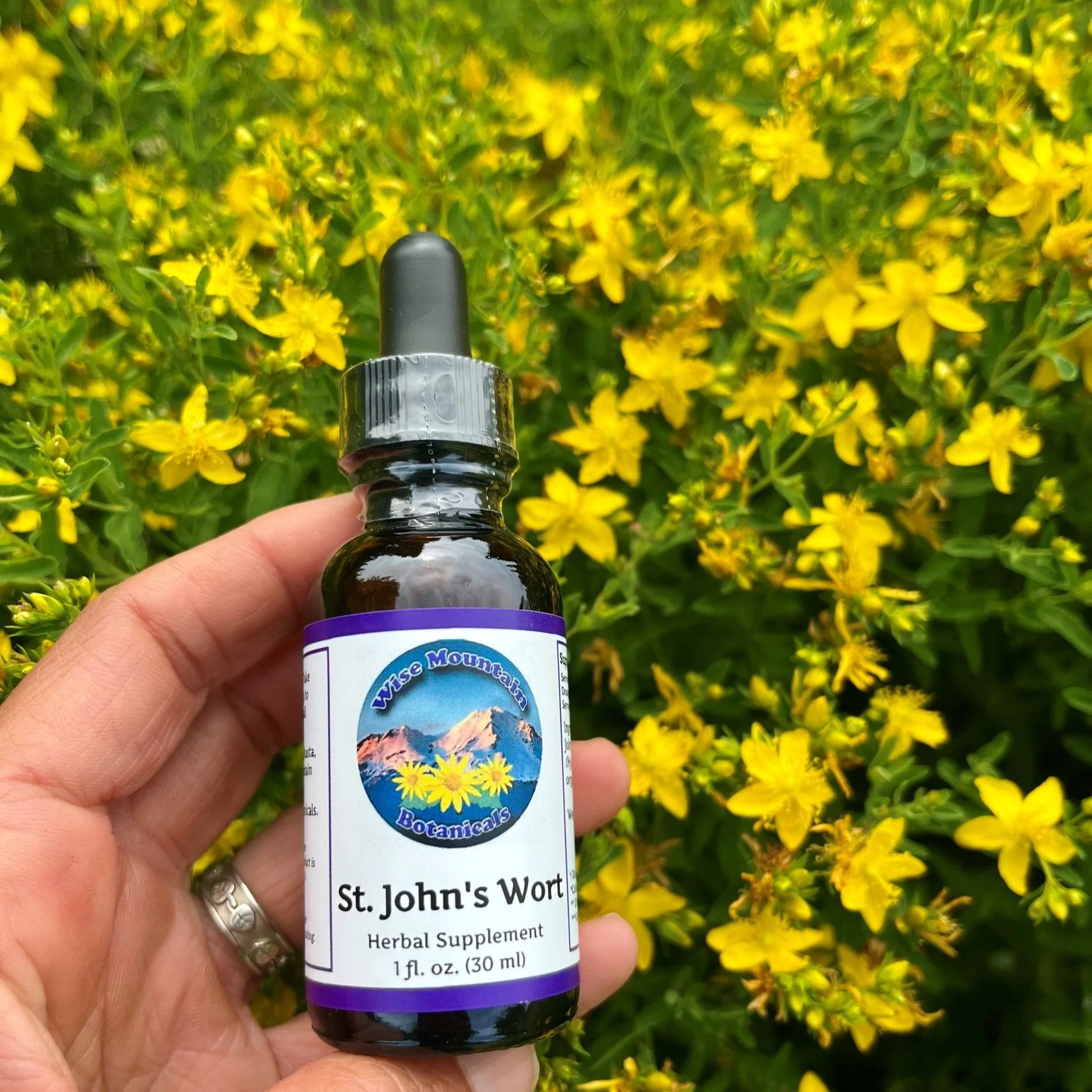 St. john's wort (Hypericum perforatum) tincture