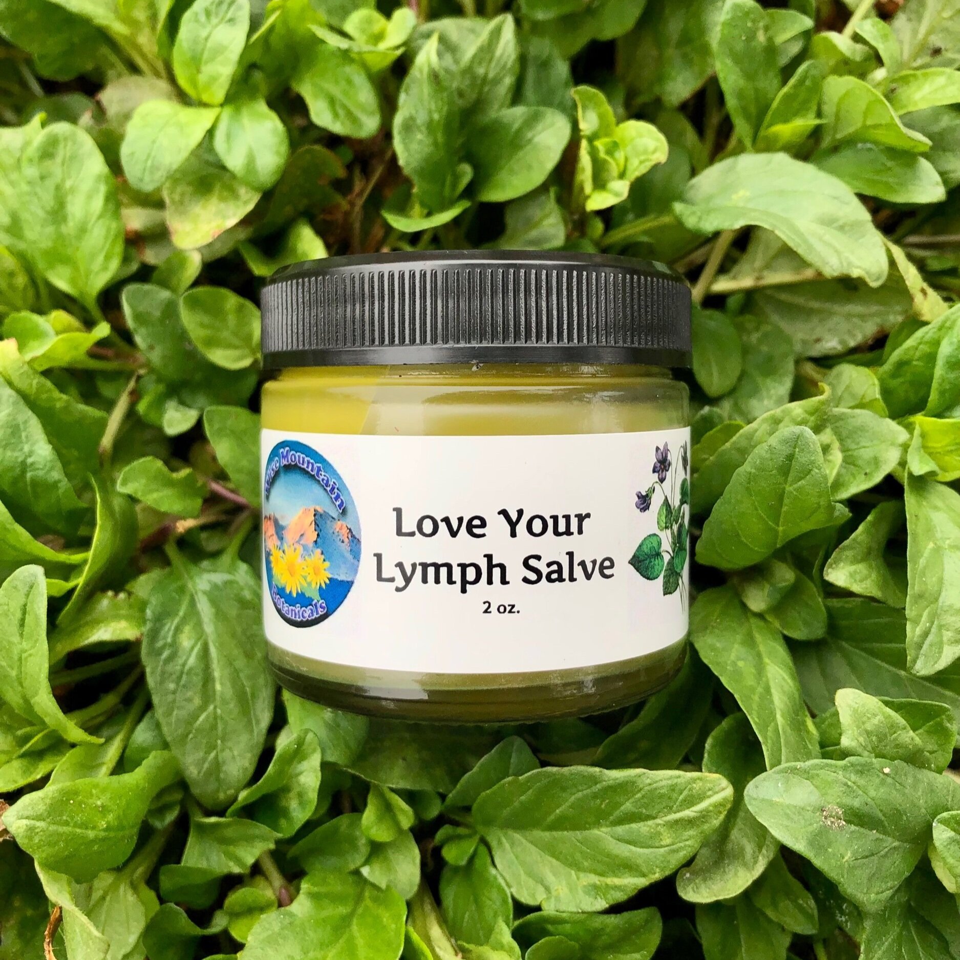 25C3365A-5177-40BB-8BA0-456A2C8E84EA