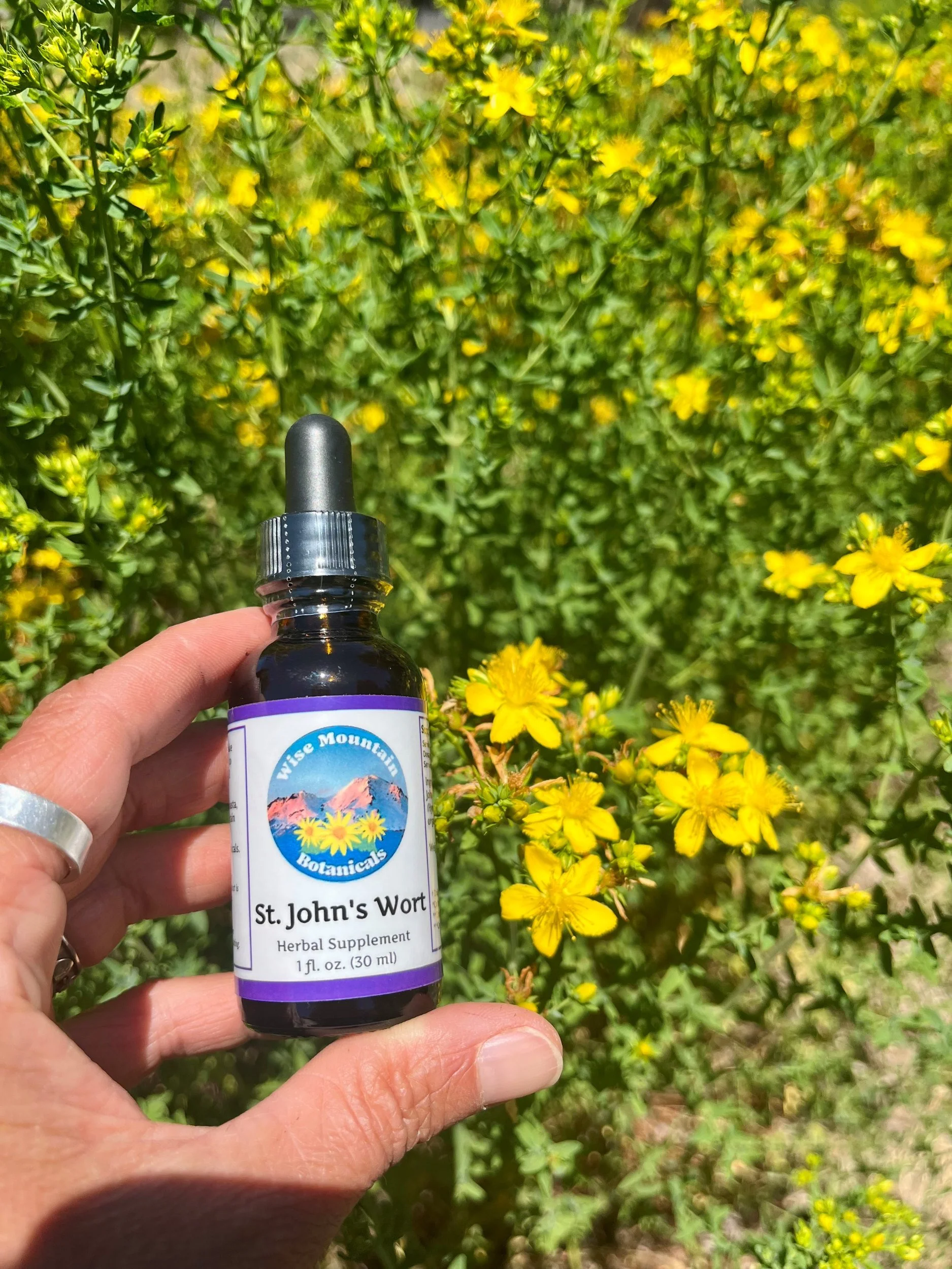 St. John's Wort Tincture (Hypericum perforatum)- Fresh plant extract *Grown on our micro farm in Mount Shasta, California*