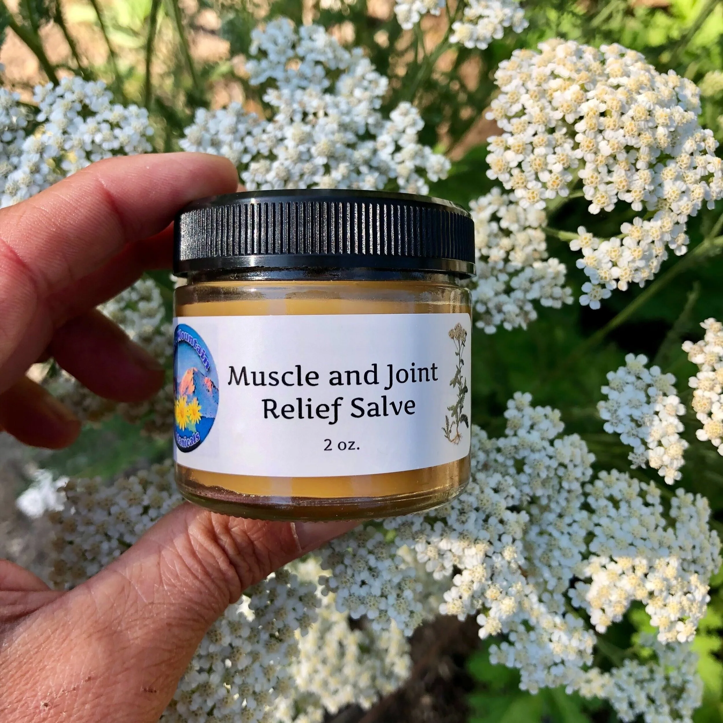 Muscle and Joint Relief Salve