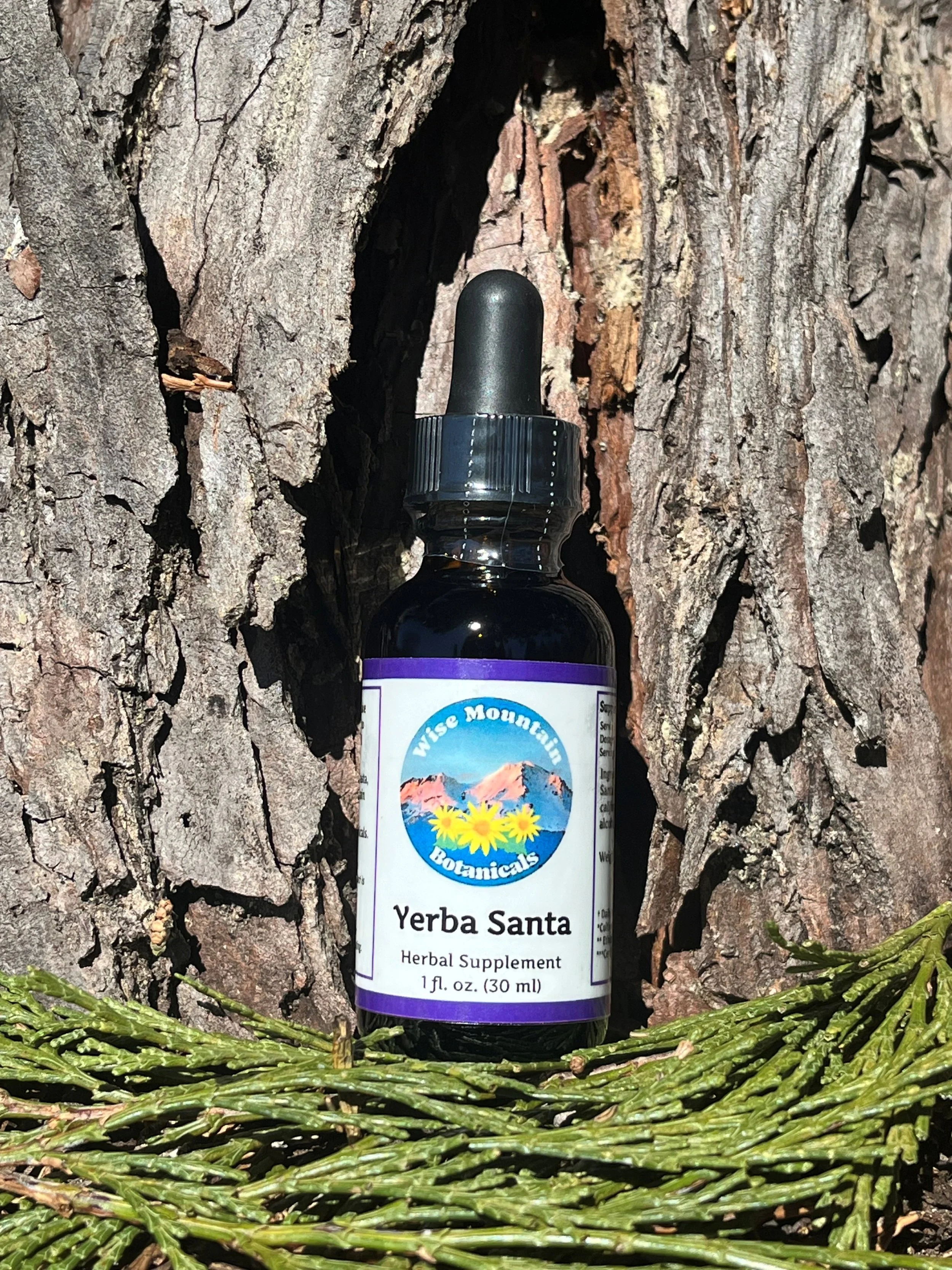 Yerba Santa Tincture (Eriodictyon californicum)- Fresh plant extract *Wild harvested from the mountains of far northern California*