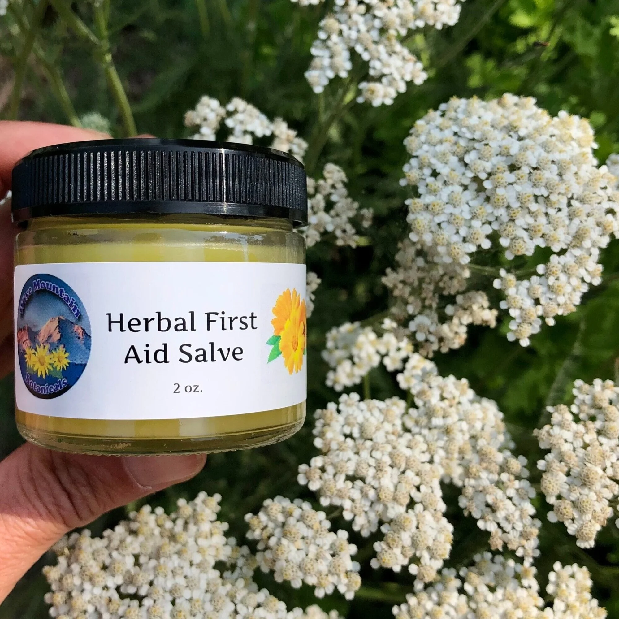 Herbal first aid salve