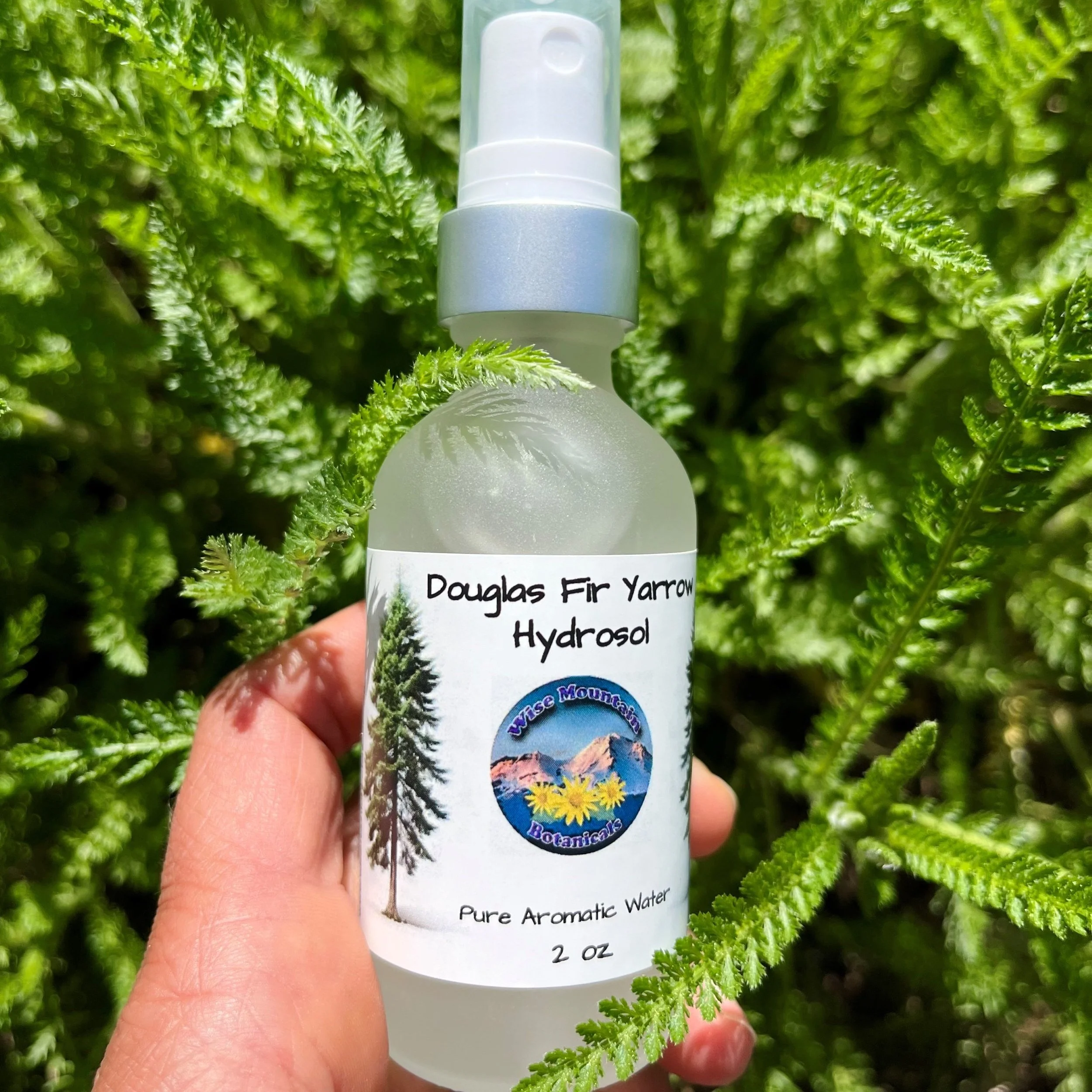 Doug Fir Yarrow Hydrosol