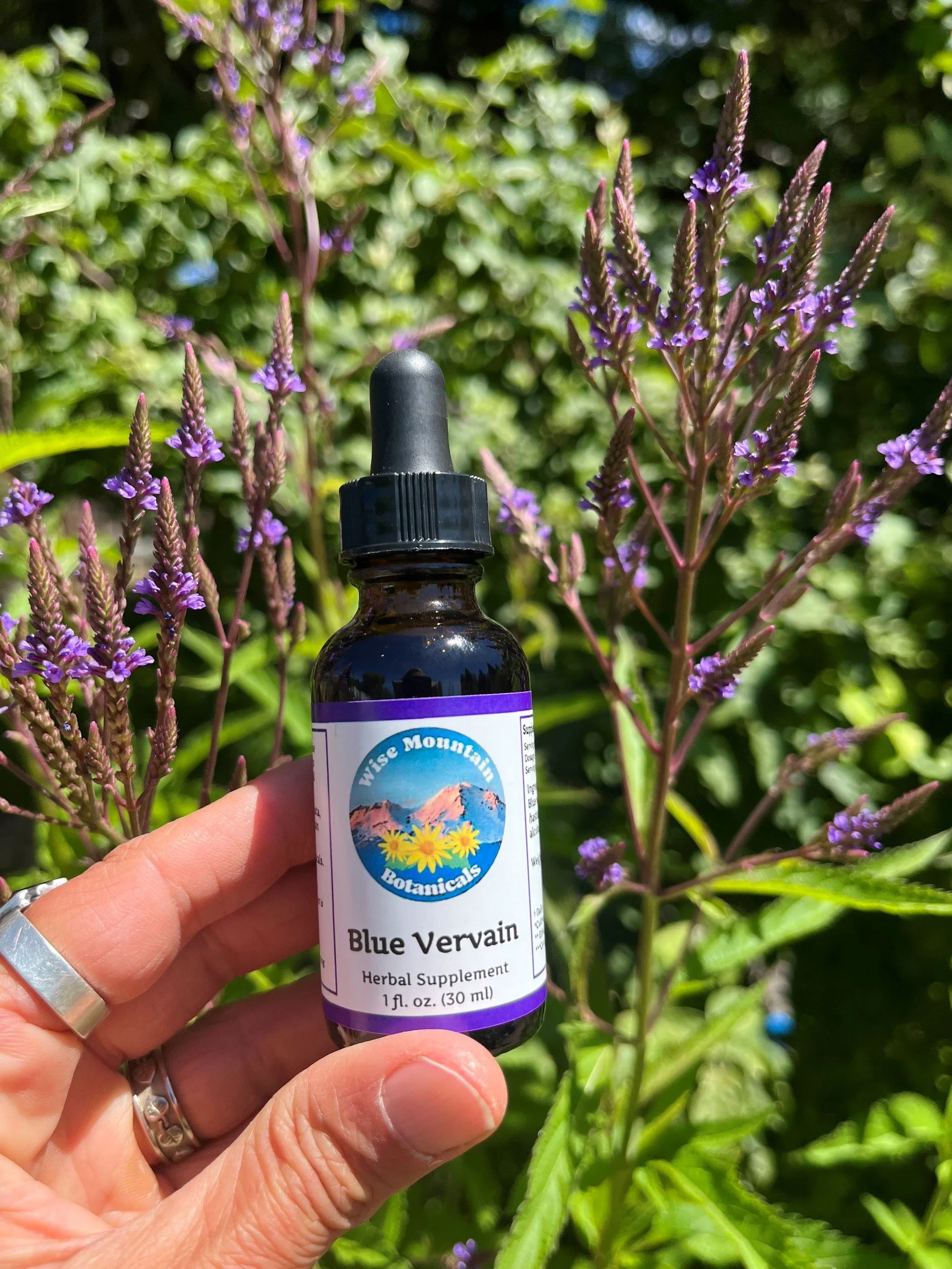 Blue Vervain Tincture- (Verbena hastata)- Fresh plant extract *Grown on our micro farm in Mount Shasta, California*