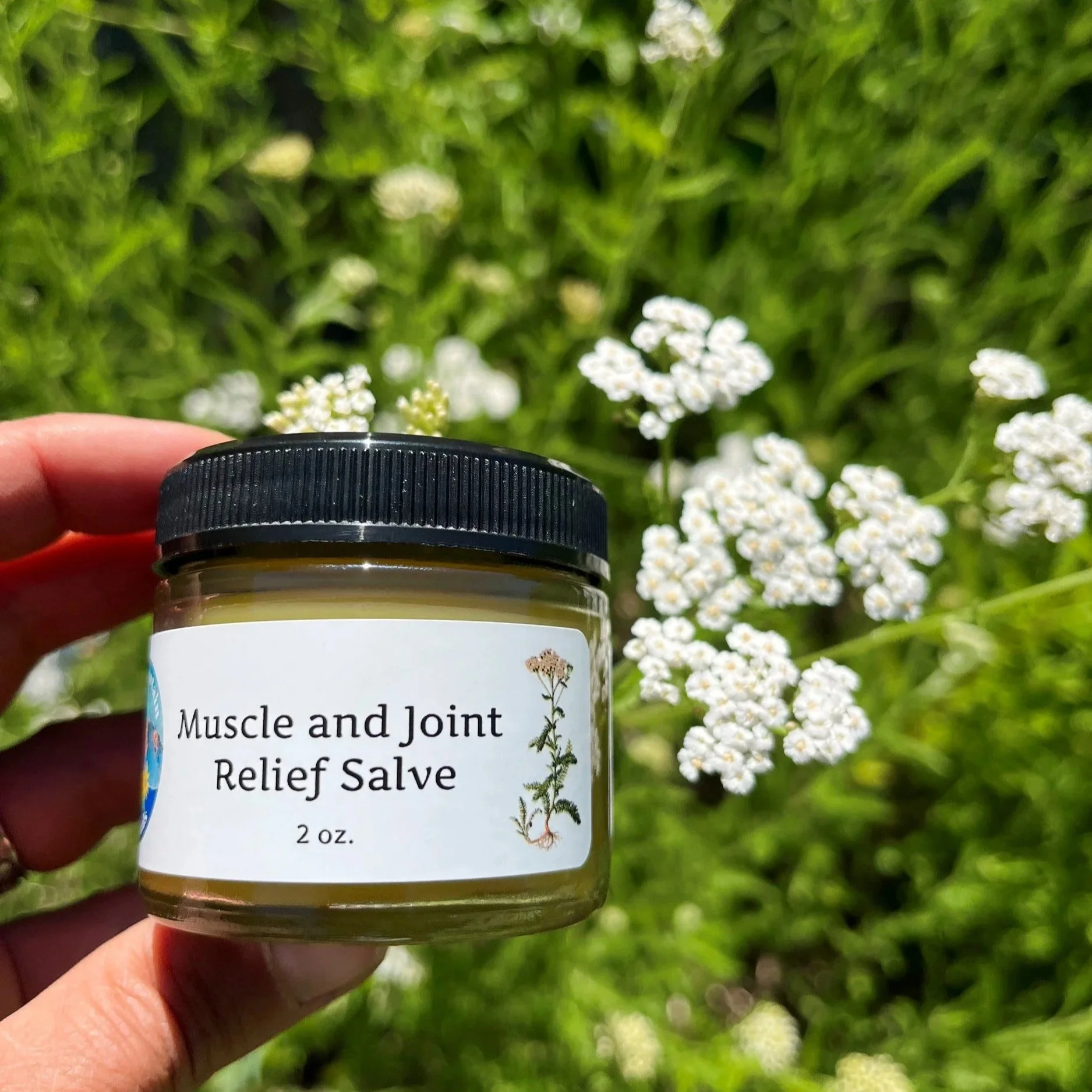 Muscle and Joint Relief Salve
