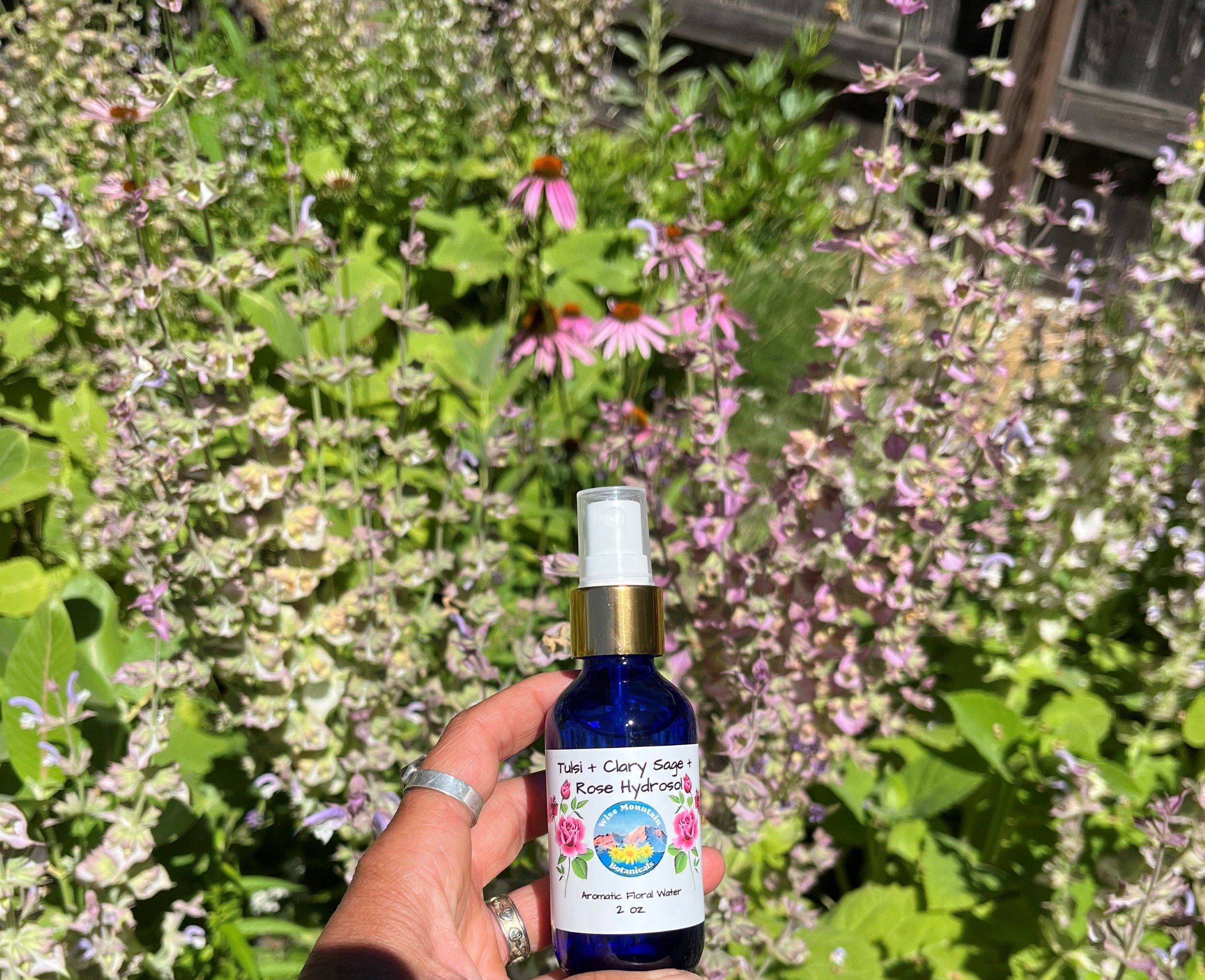 Tulsi Rose Clary2.jpg