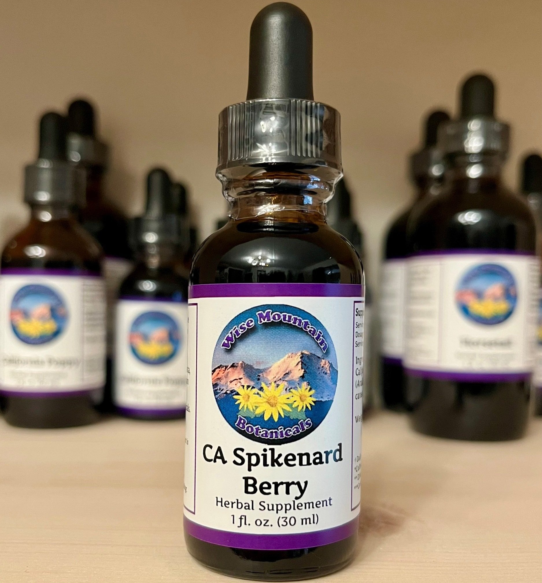 California Spikenard Berry tincture (Aralia californica)