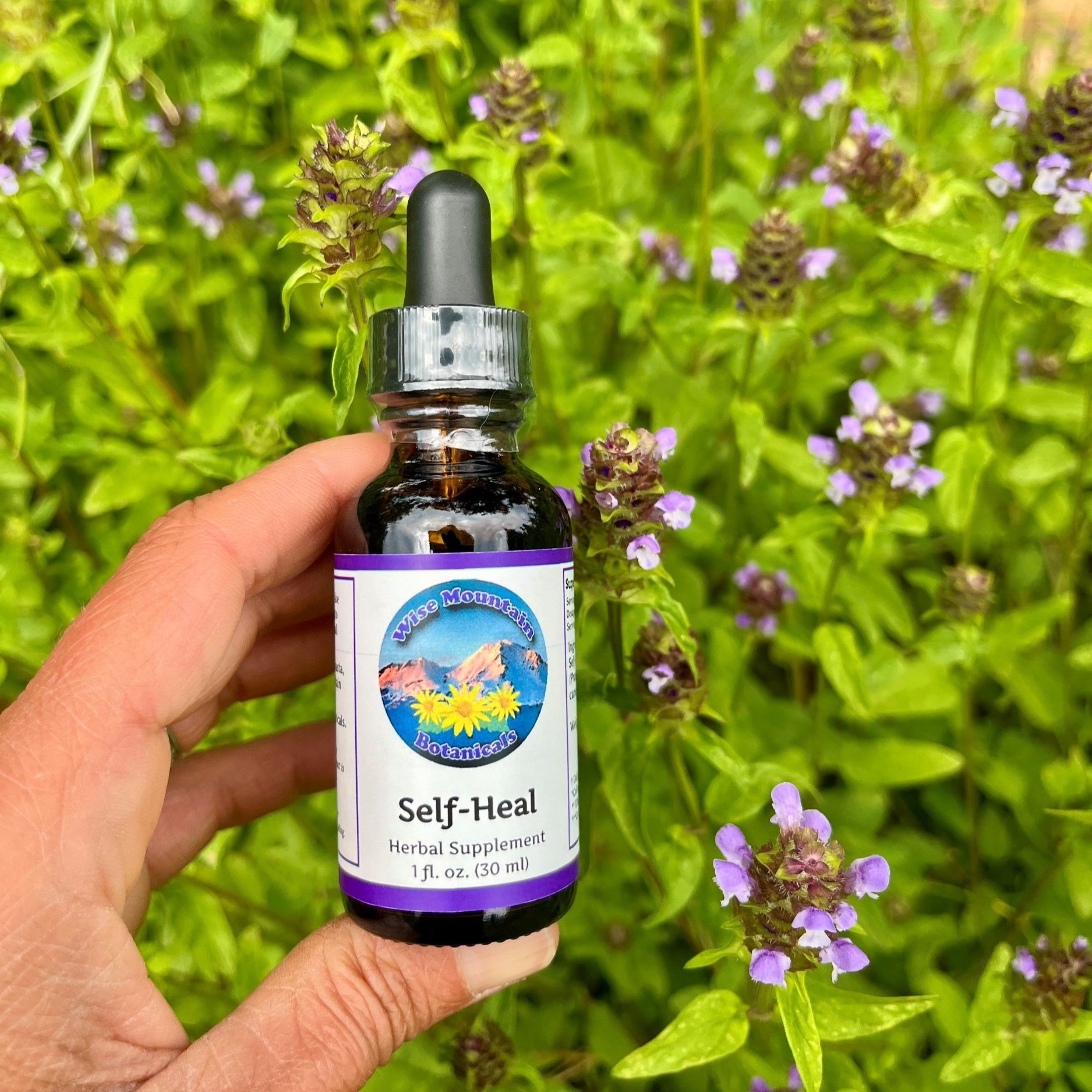 self heal (Prunella vulgaris) tincture