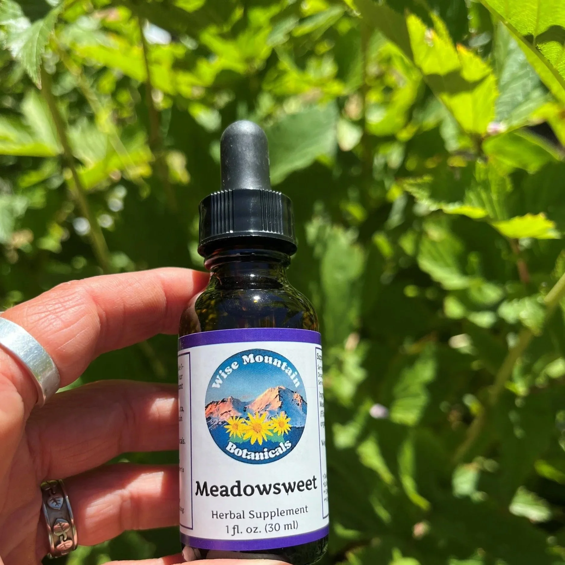 Meadowsweet.jpg
